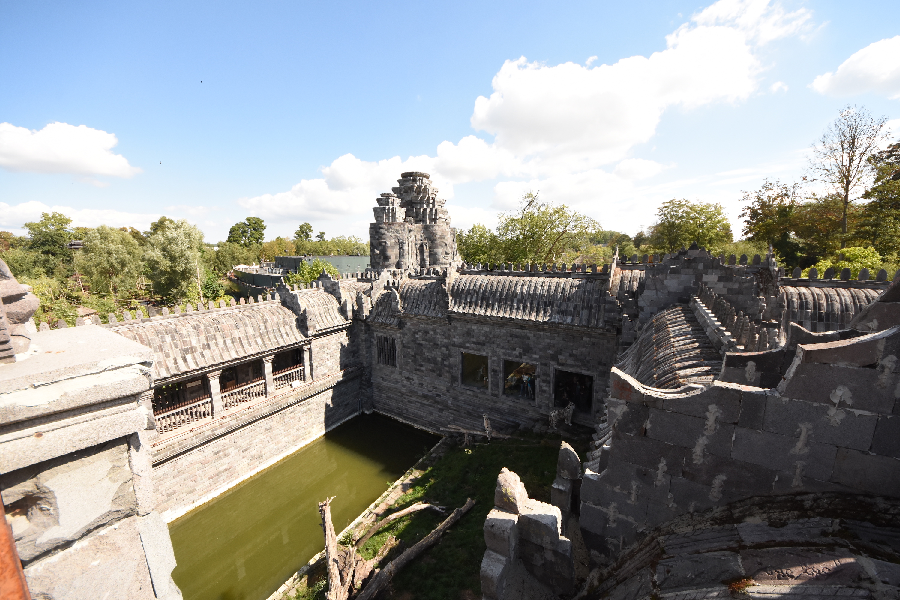 White tiger enclosure