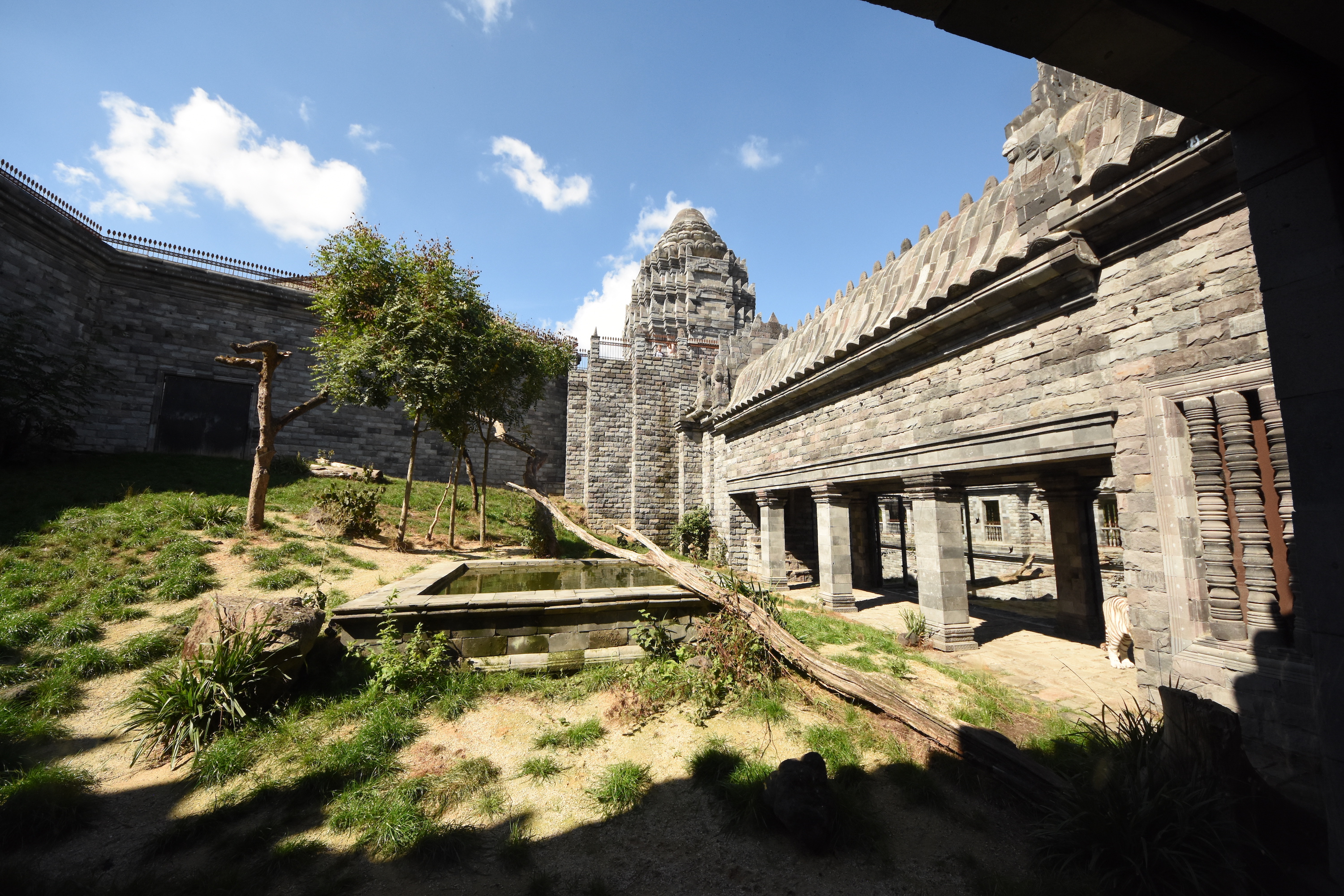 White tiger enclosure
