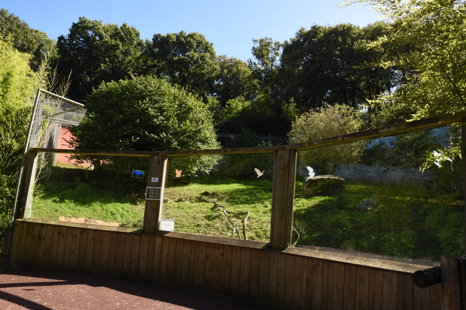 White Tiger enclosure