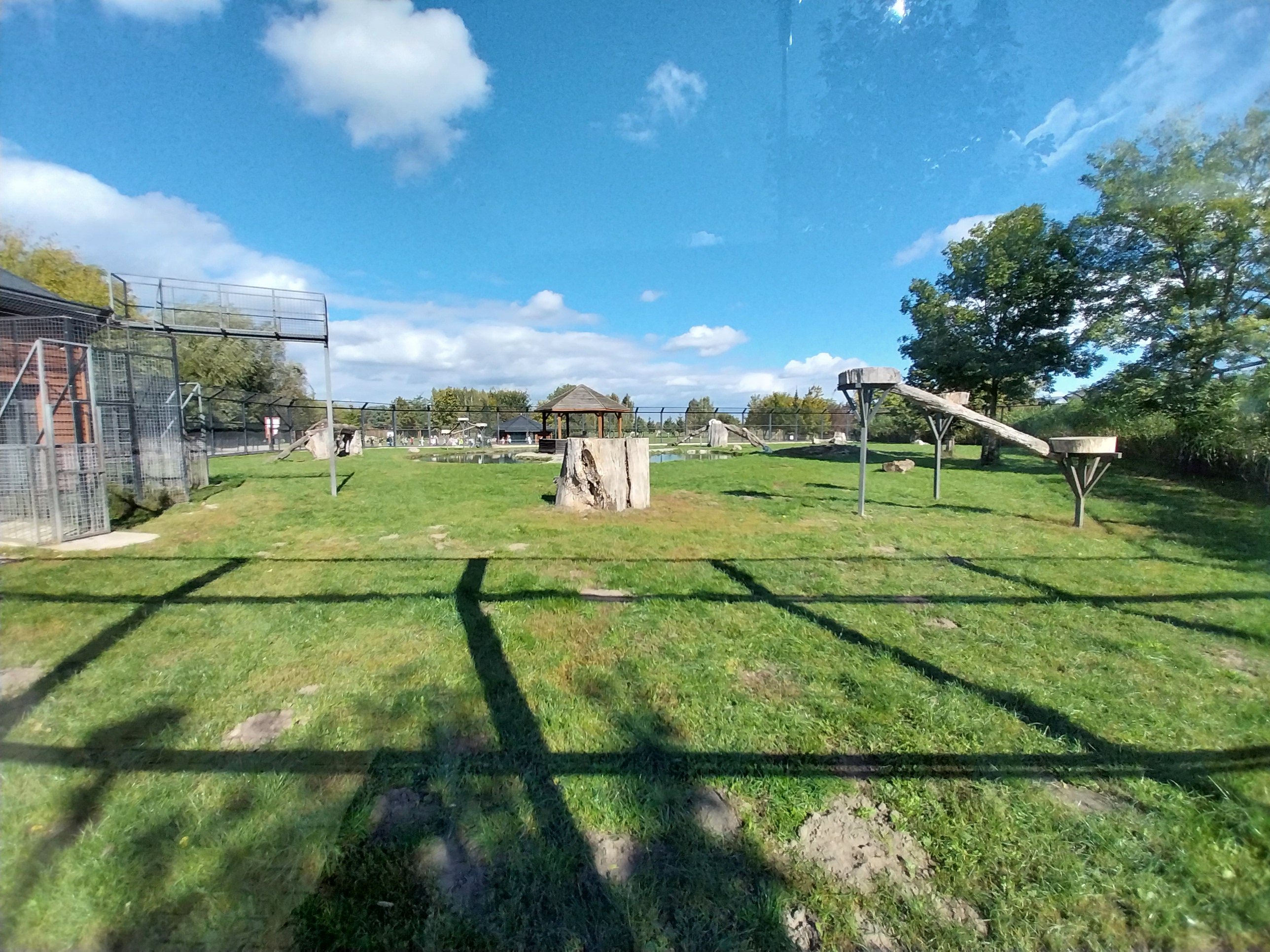 White Tiger enclosure