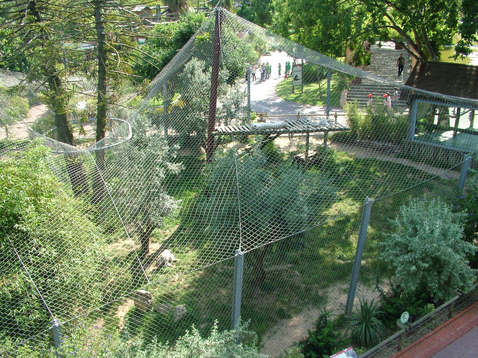 White Tiger Exhibit at Lisbon Zoo, 24/05/11