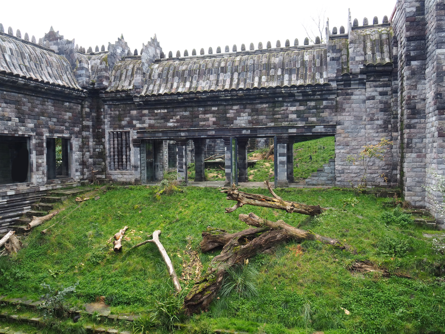 White tiger exhibit in the tiger temple - Second section, 2019-10-04