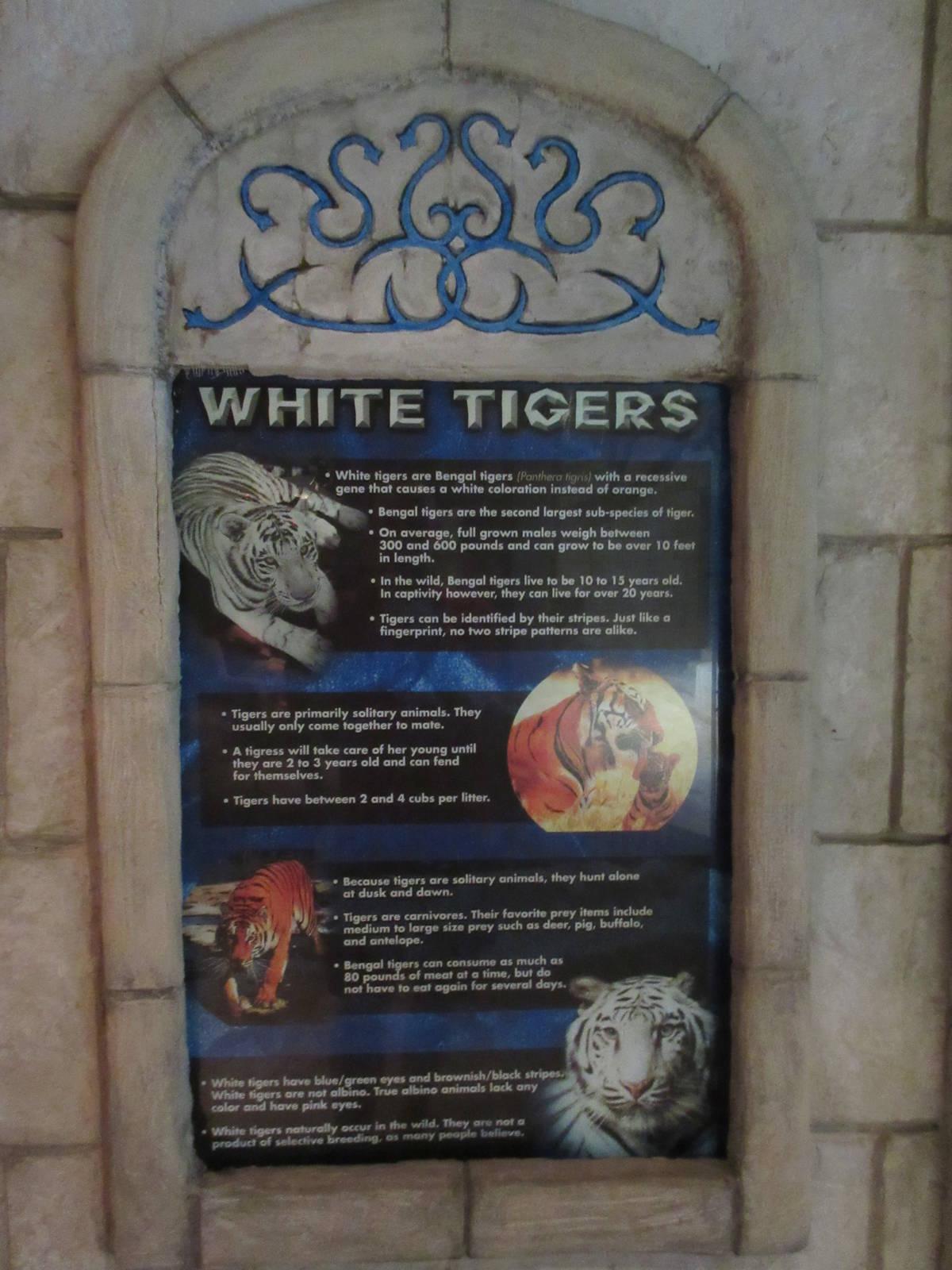 White Tiger Exhibit - Sign