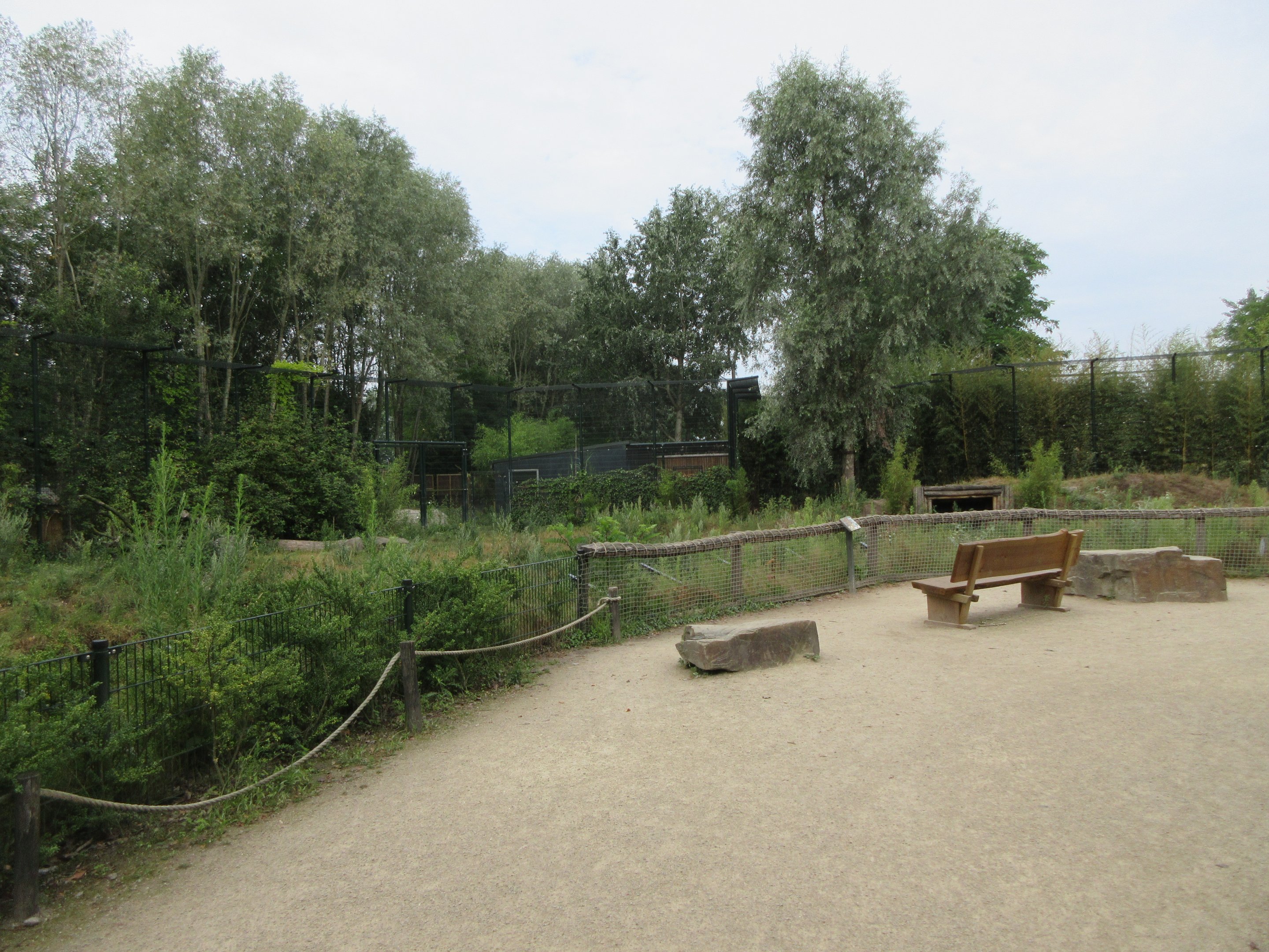 White Tiger Exhibit - viewing area