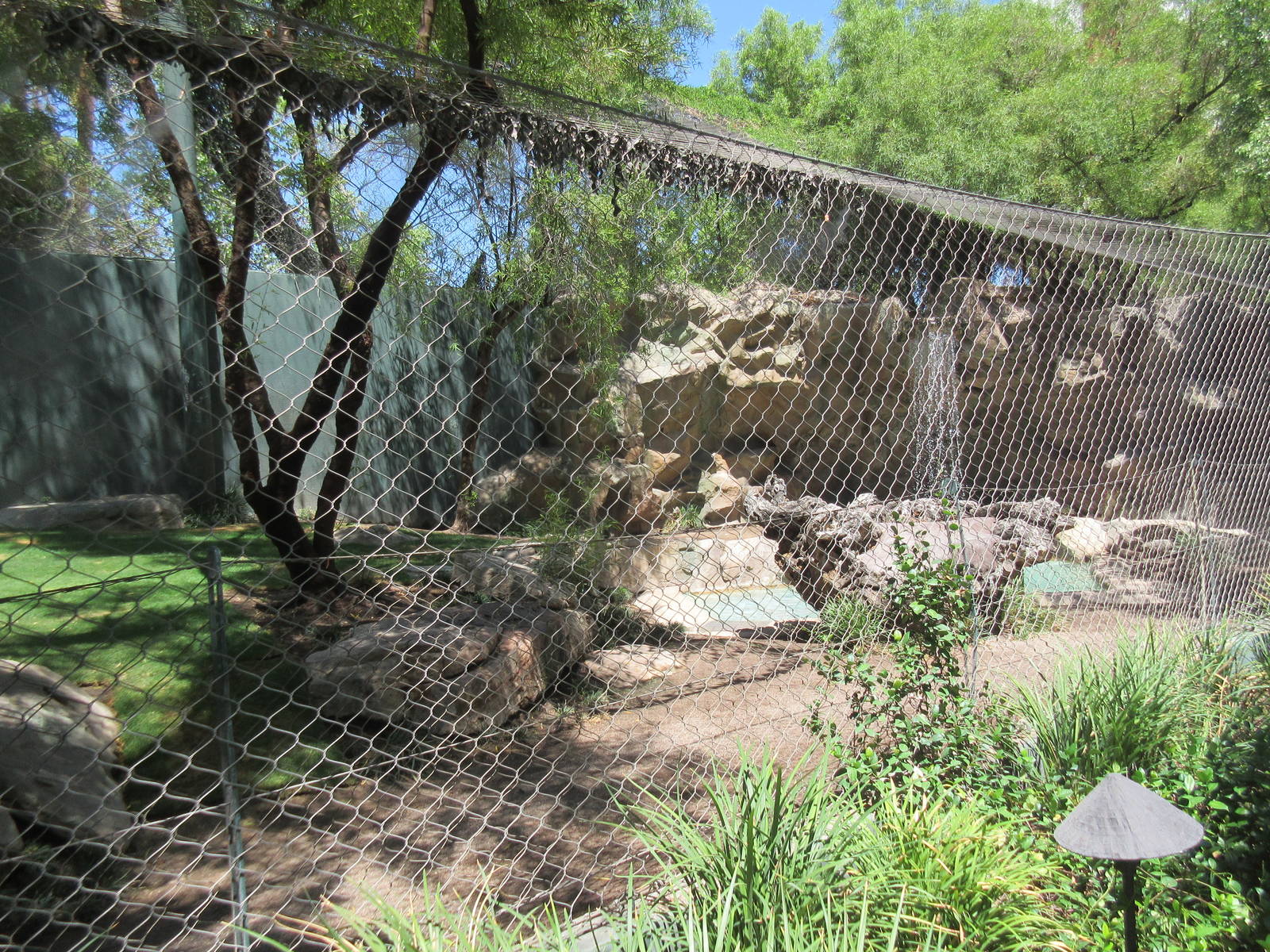 White Tiger Exhibit
