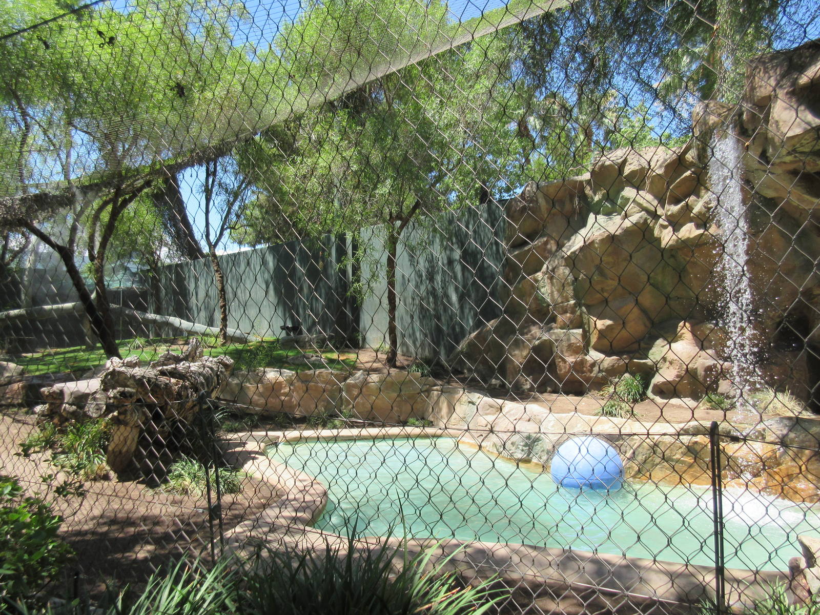 White Tiger Exhibit