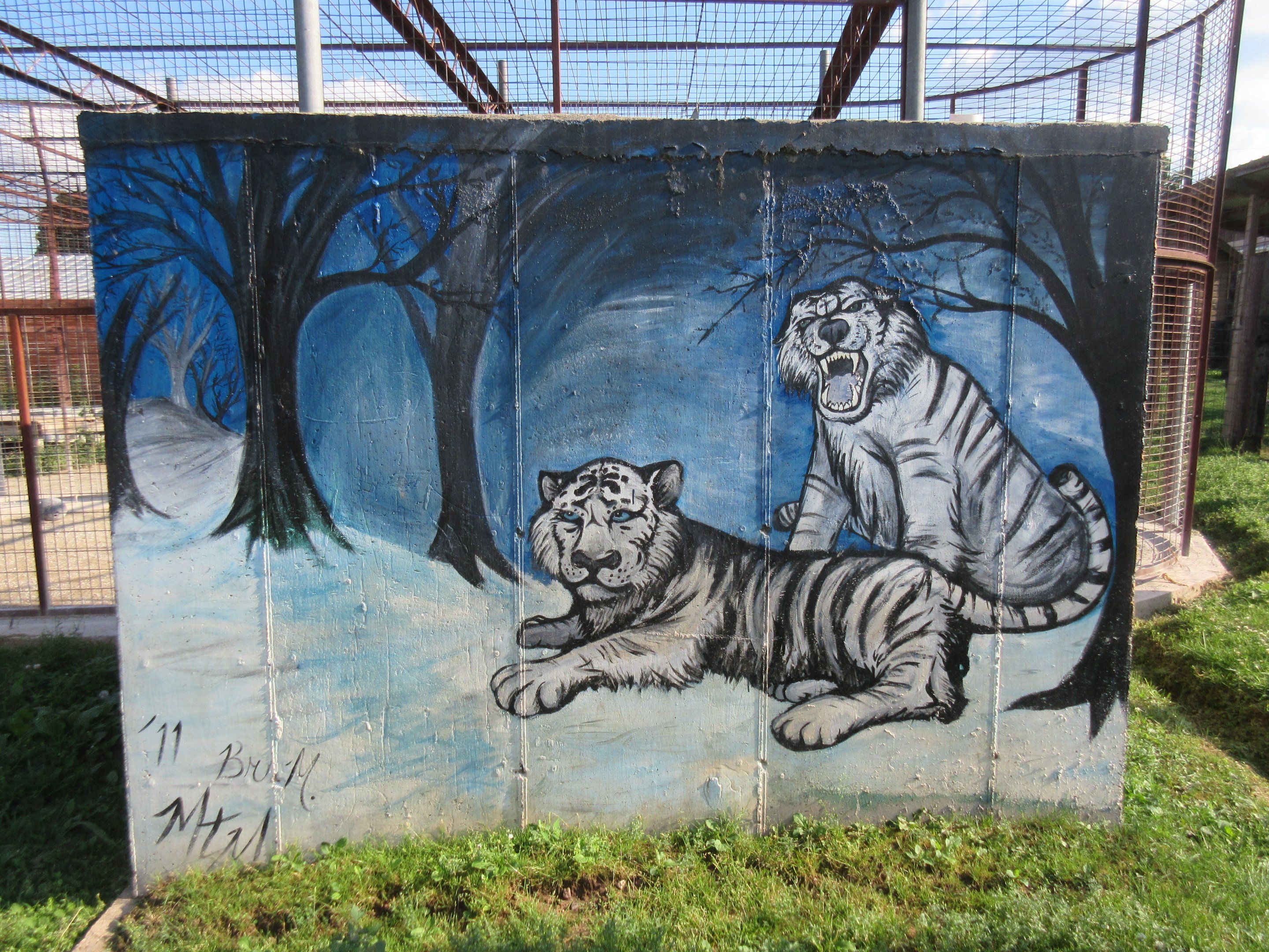 White Tiger Mural