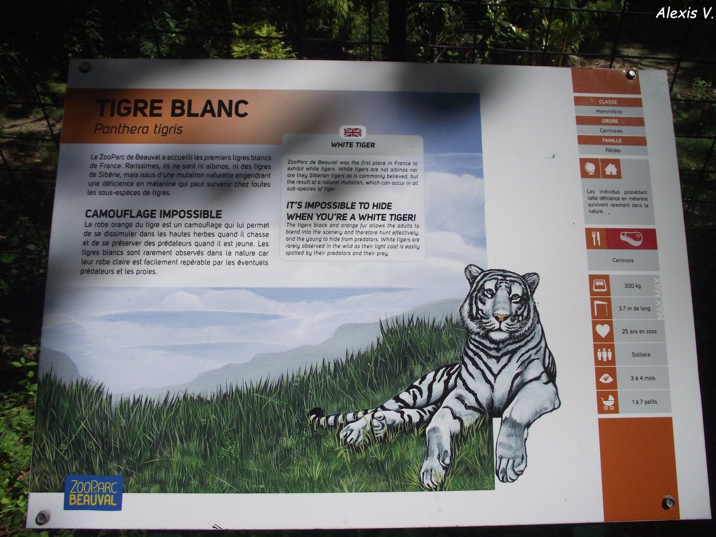 White Tiger signage - Zooparc de Beauval, 09/08/2025
