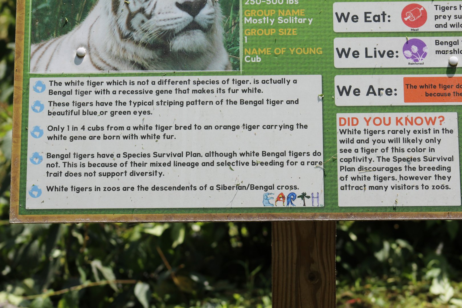 White Tiger Signage