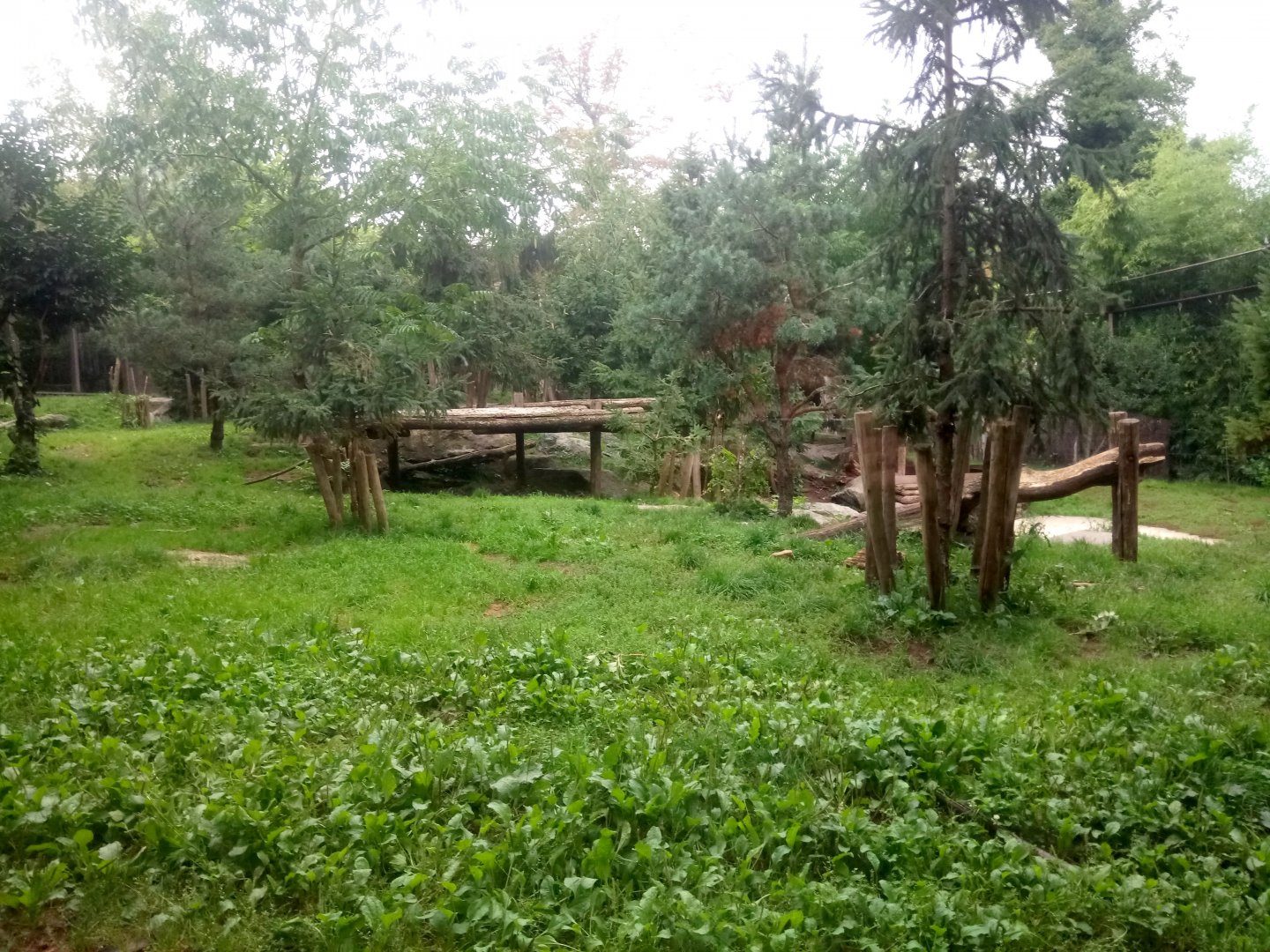 White Tigers Exhibit