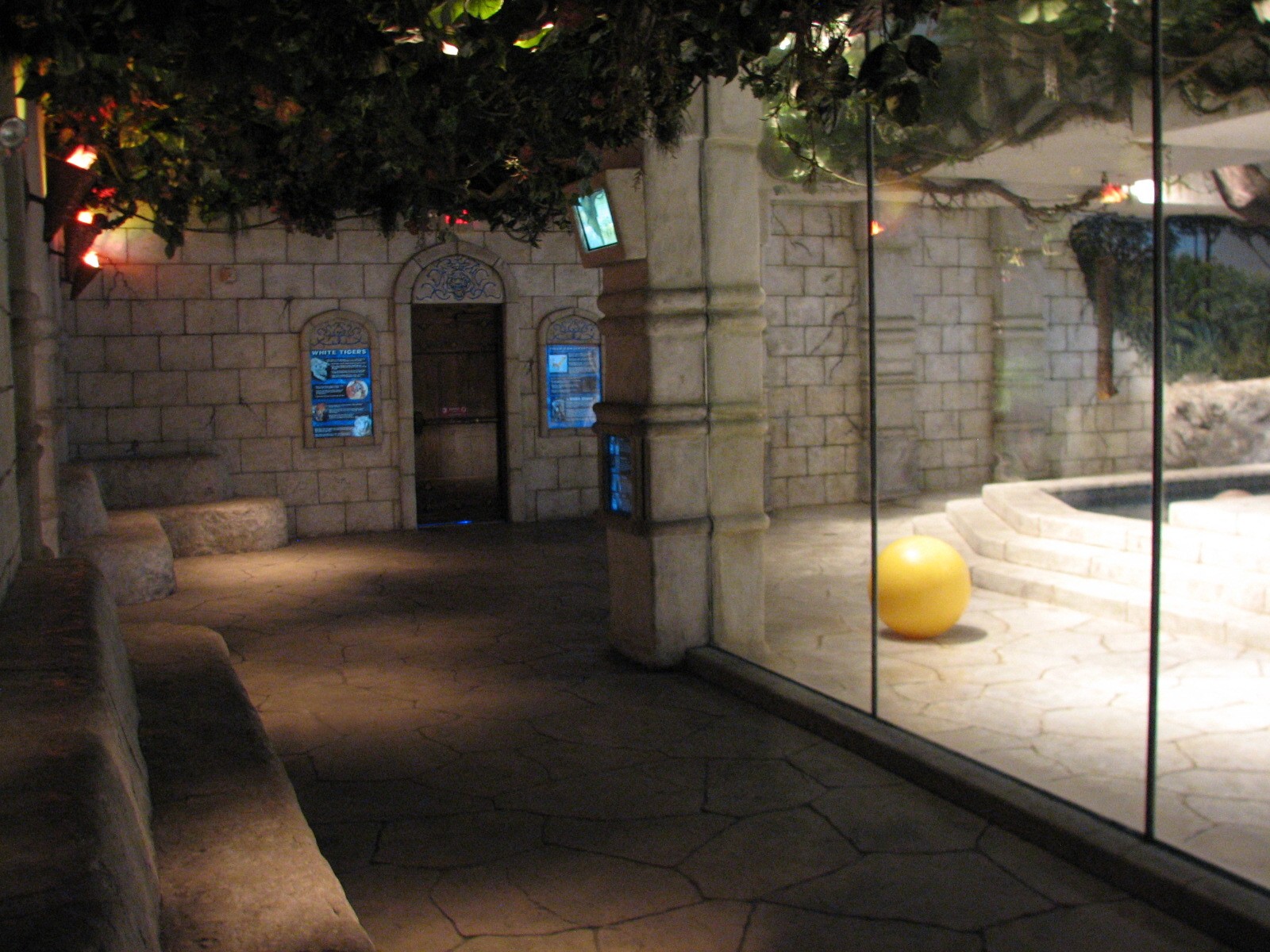 White Tigers of the Maharaja's Temple - Viewing Area