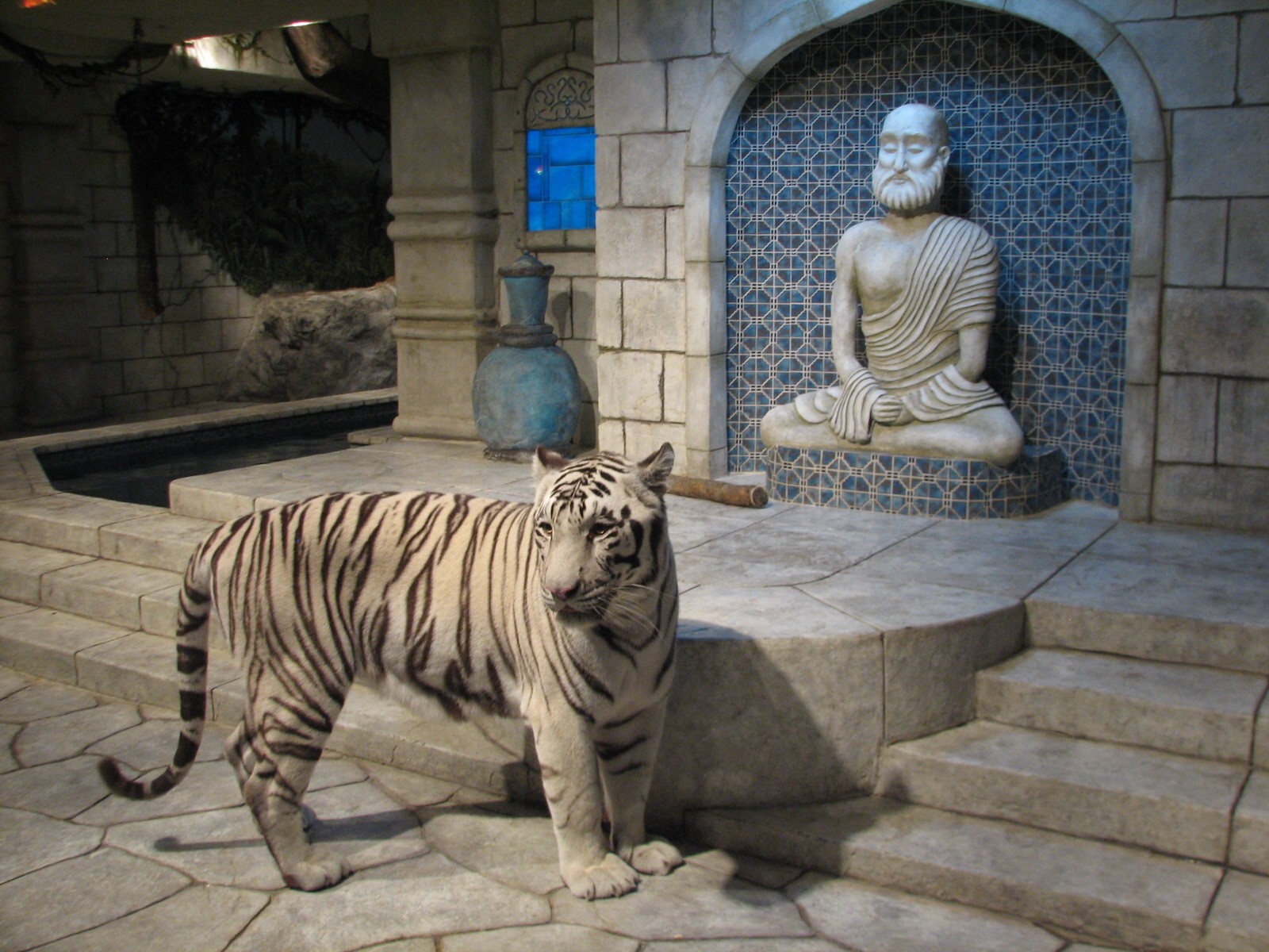 White Tigers of the Maharaja's Temple - White Tiger