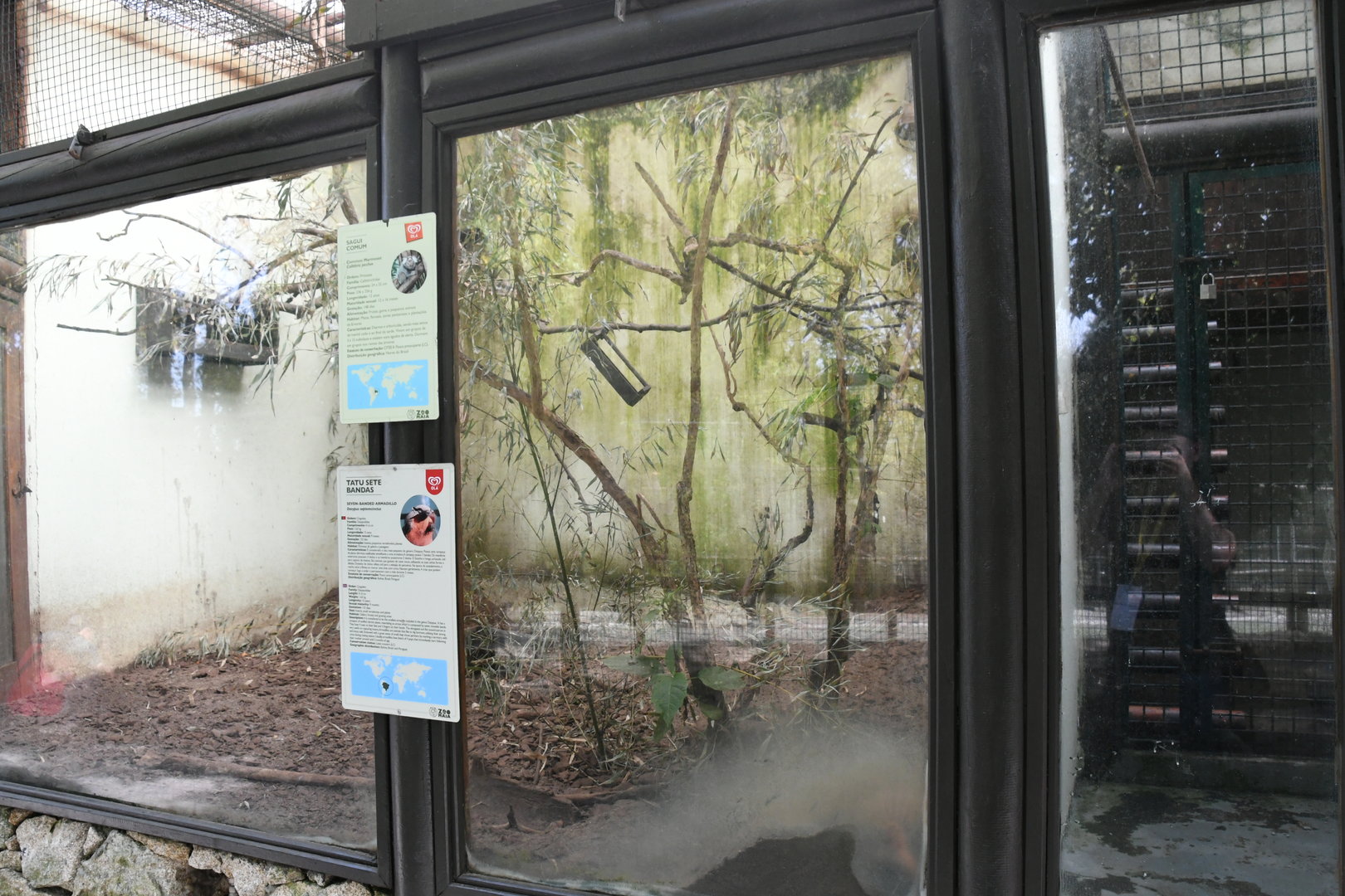 White-tufted Marmosets/Hairy Armadillo cage