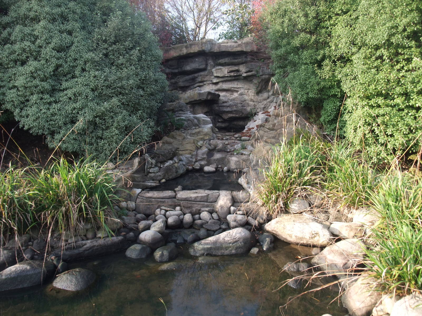 White Water Pen at London WWT (Barnes), 15/11/11