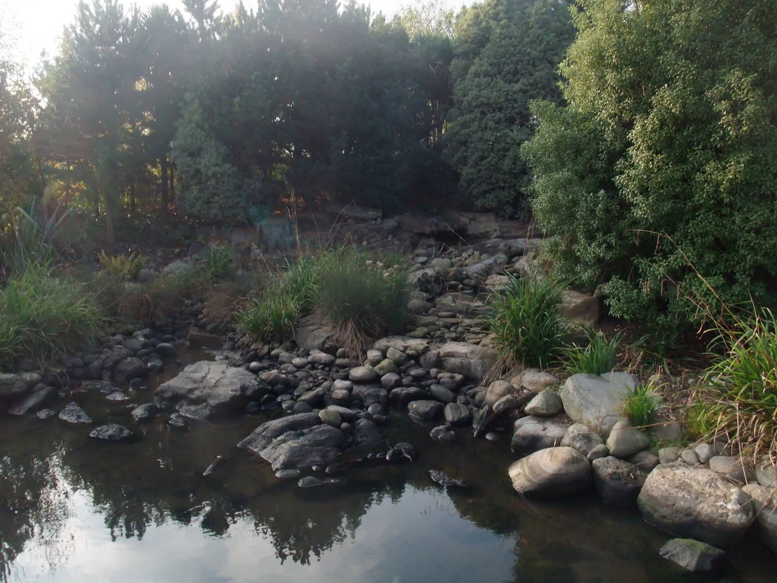 White Water Pen at London WWT (Barnes), 15/11/11