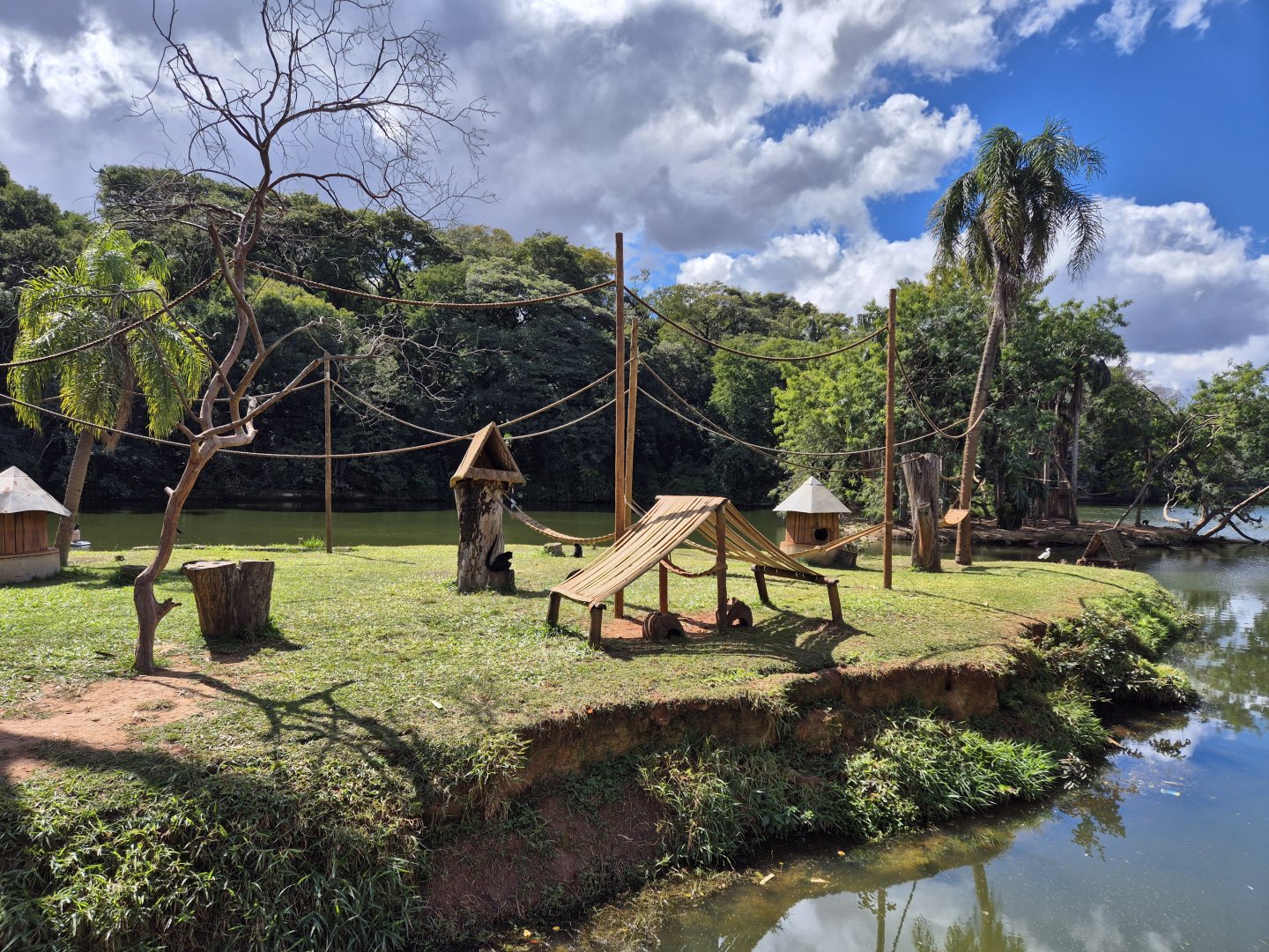 White-whiskered Spider Monkey Island