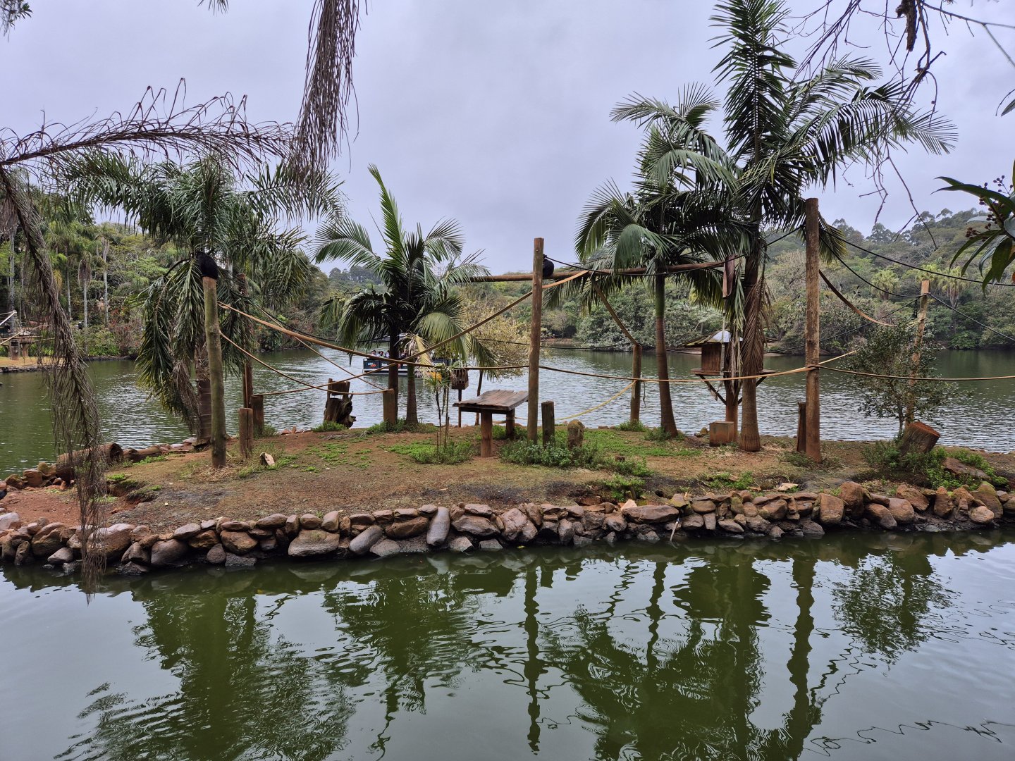 White-whiskered Spider Monkey island