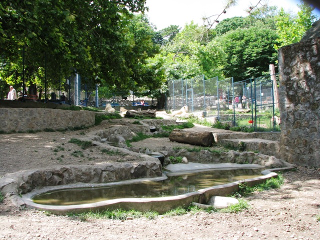 White_lions_enclosure