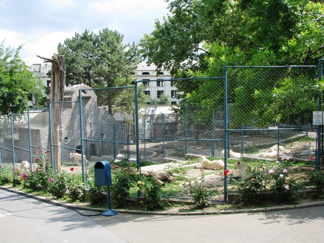 White_lions_enclosures