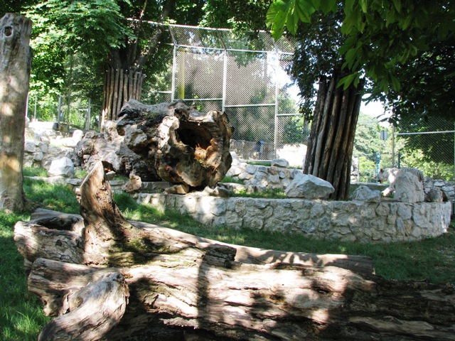 White_tiger_enclosure