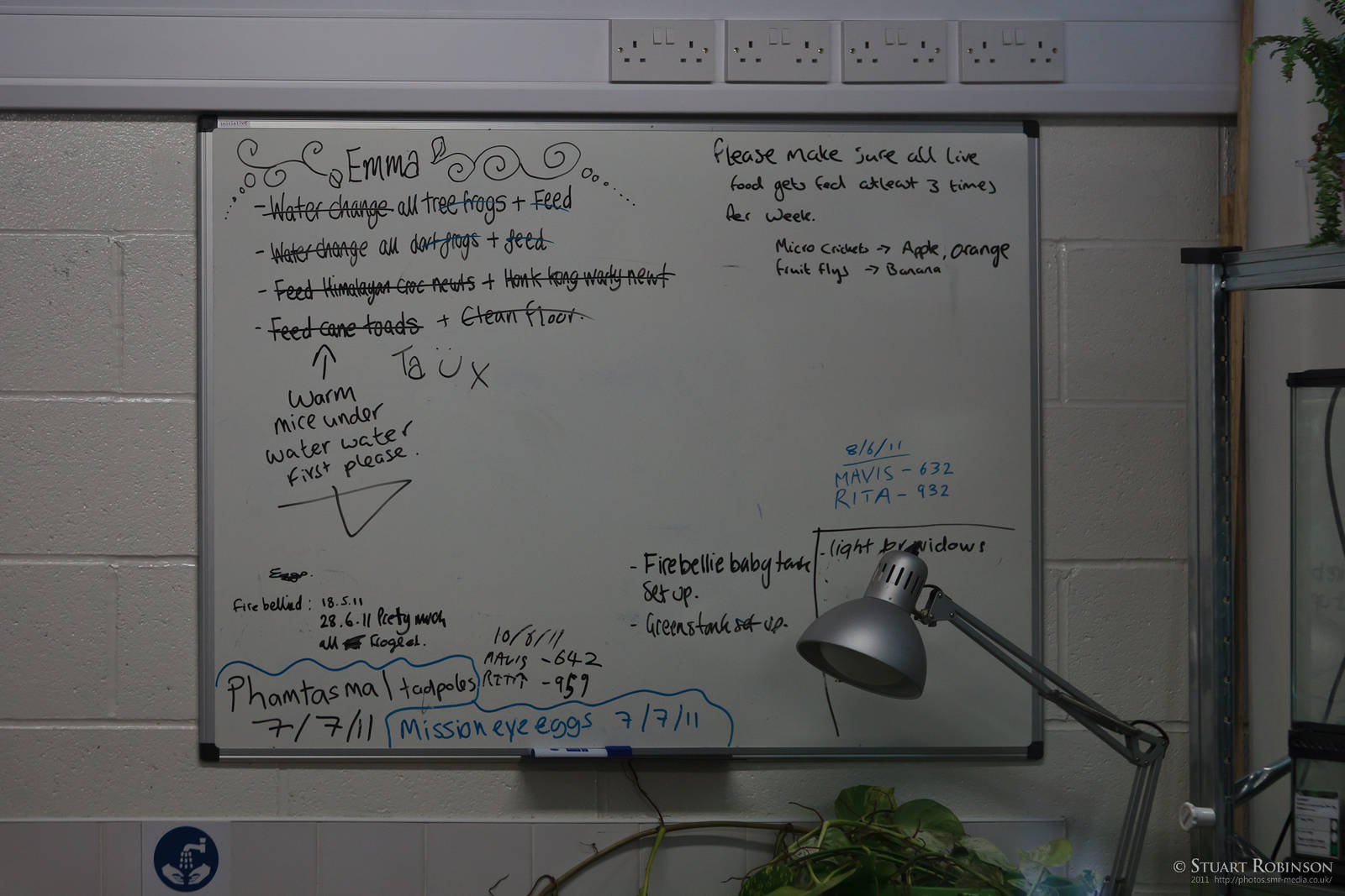 Whiteboard - 23/07/2011