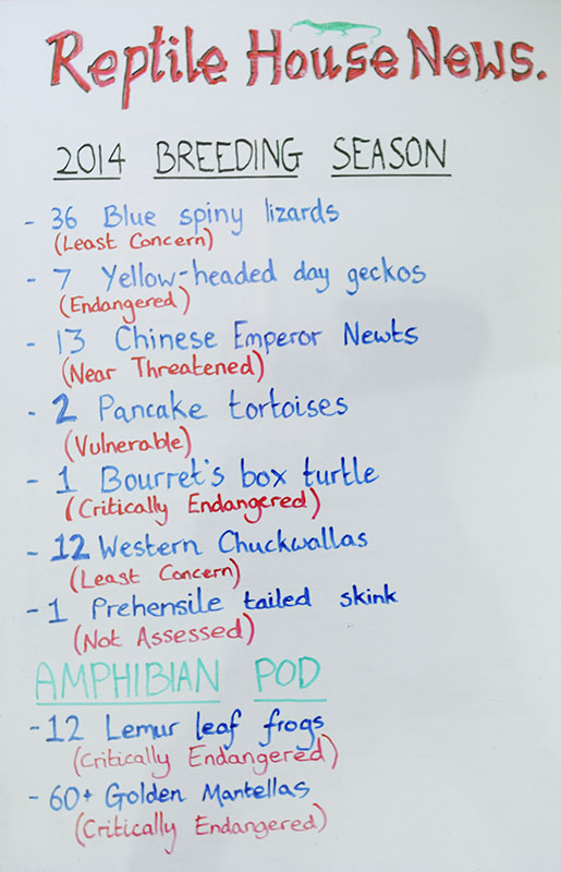 Whiteboard in Reptile House