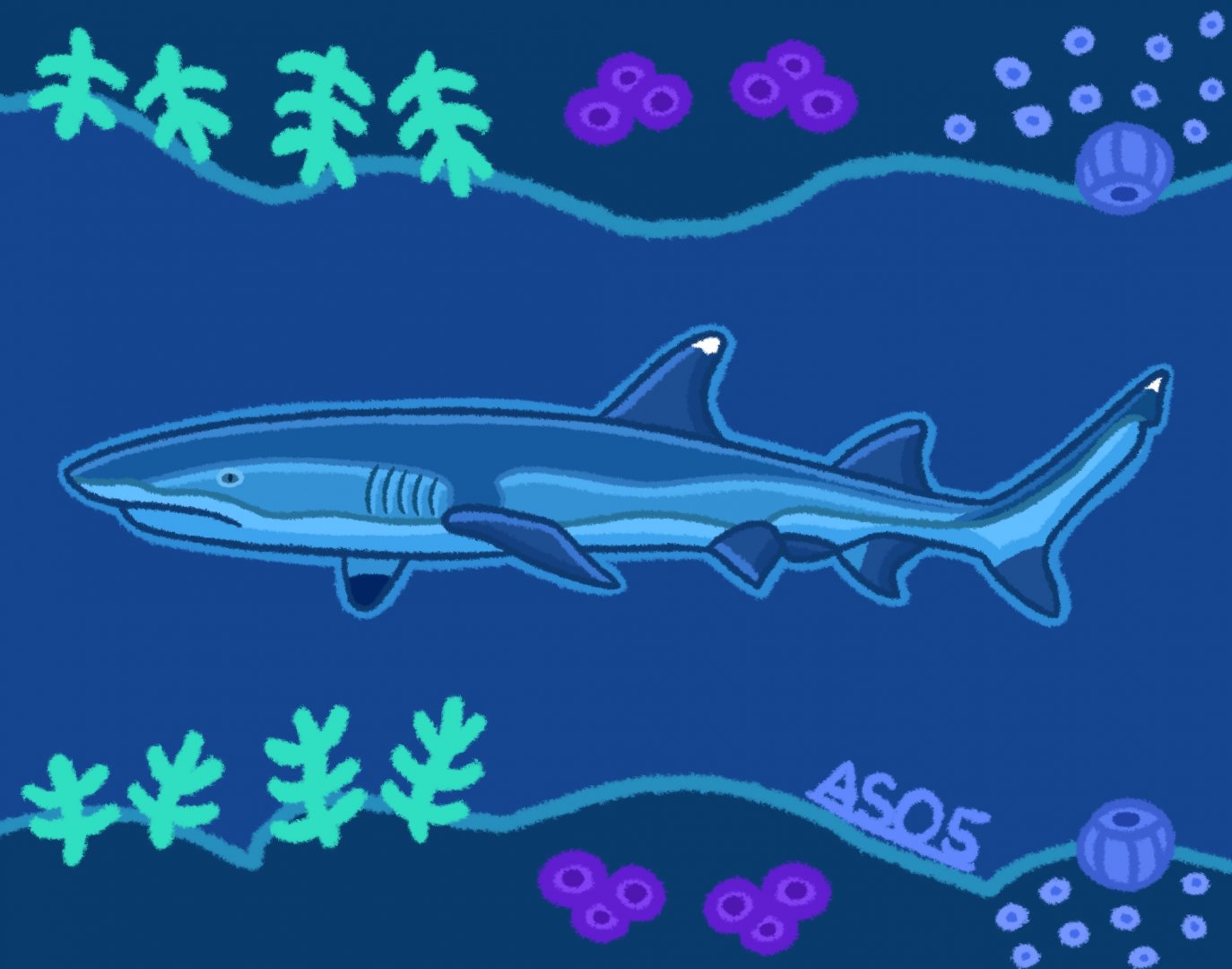 Whitetip Reef Shark (Remastered 2024)