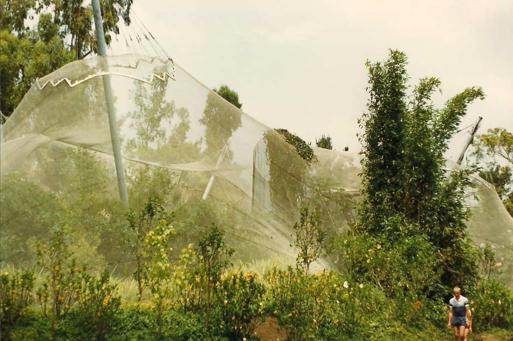 Whittier Southeast Asian Exhibits 1983 - Aviary