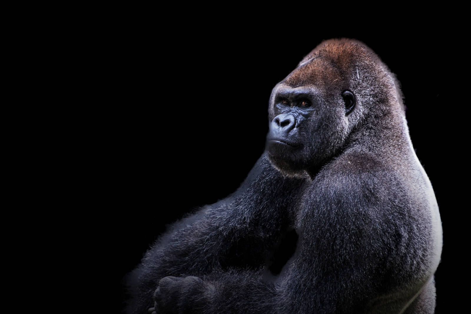 Who are you Looking At?