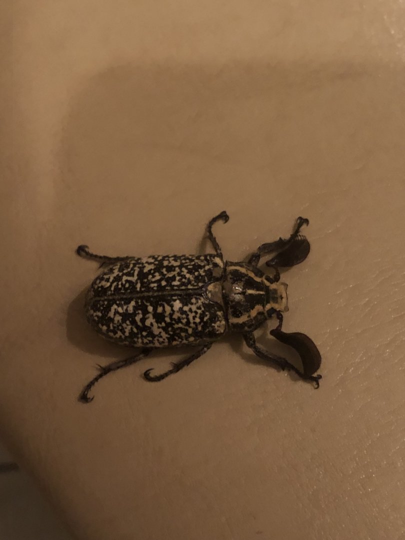 Who is this handsome man?