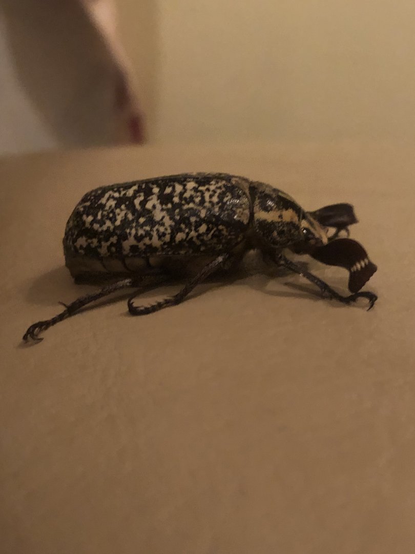 Who is this handsome man?