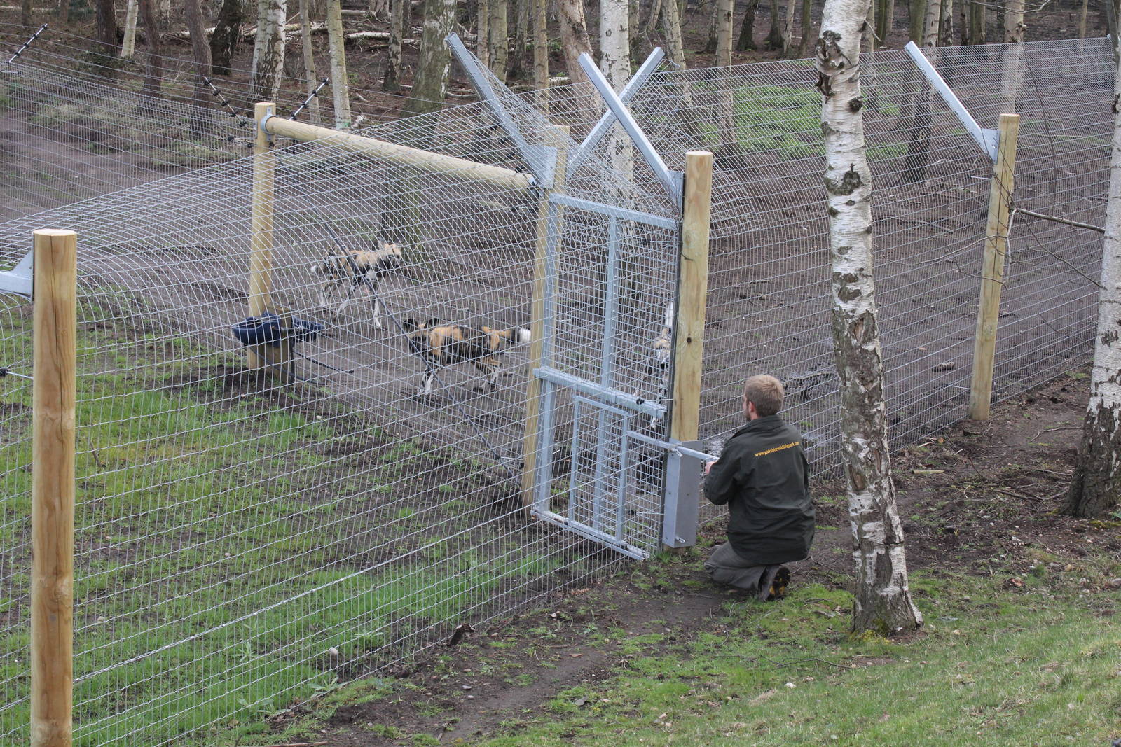 Who let the dogs out? (Adam actually!) 31-3-15