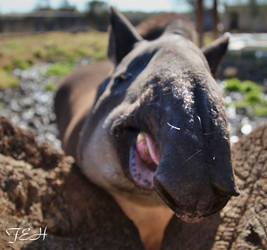 Who loves you, baby?