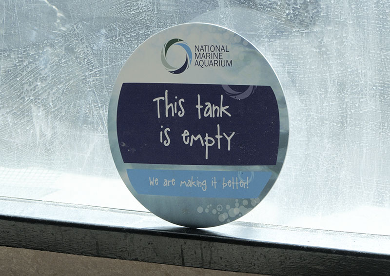 Who would have thought it?