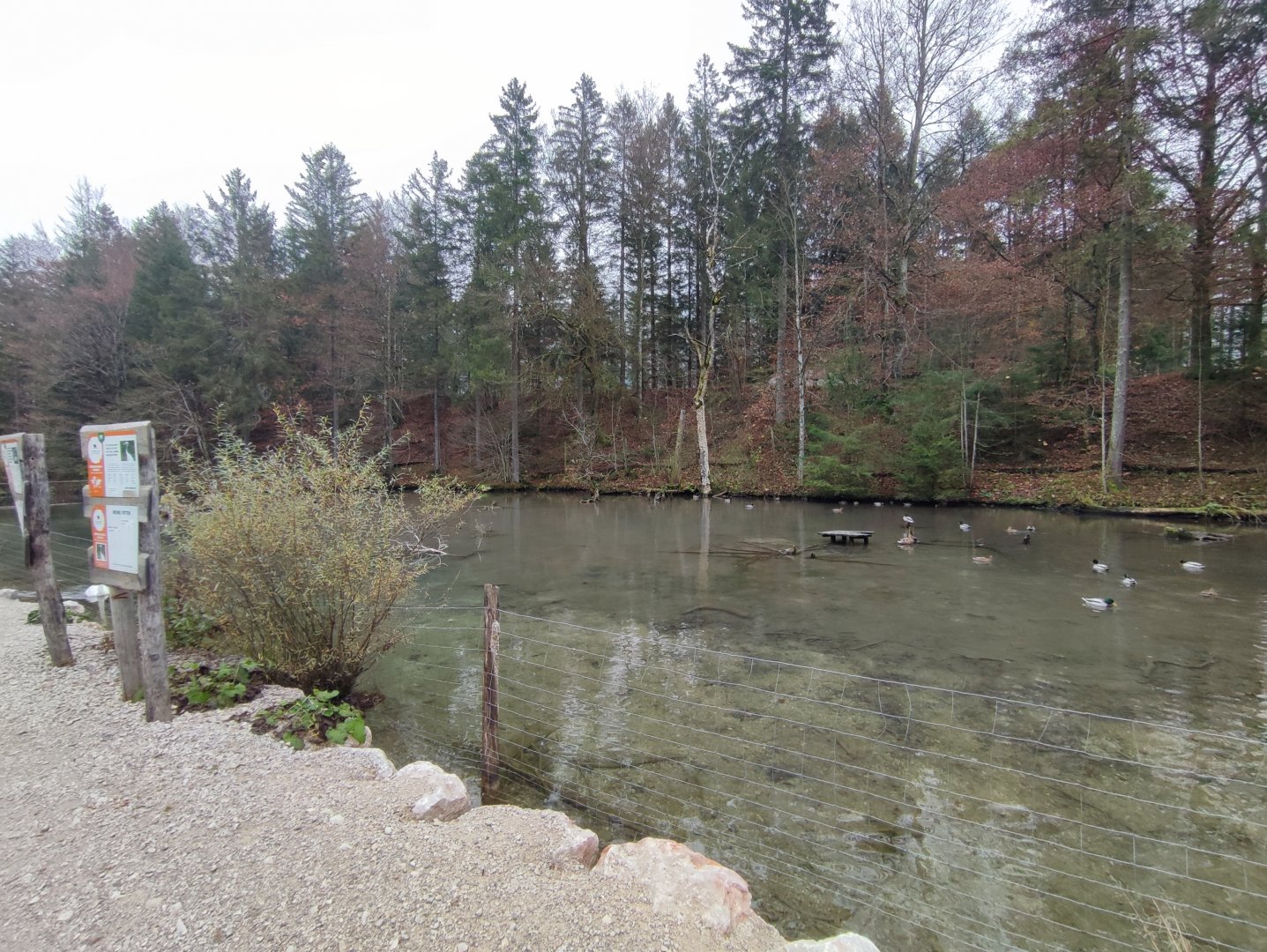 Whooper swan/Red-crowned crane enclosure - Wildpark Grünau/Cumberland