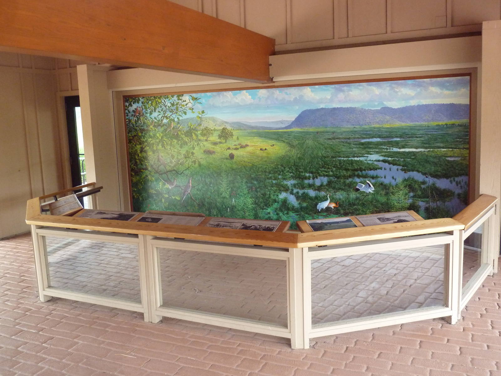 Whooping Crane Exhibit - Mural