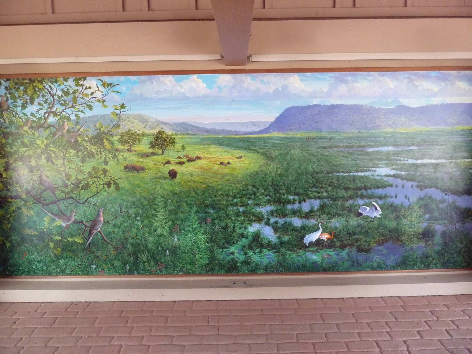 Whooping Crane Exhibit - Mural