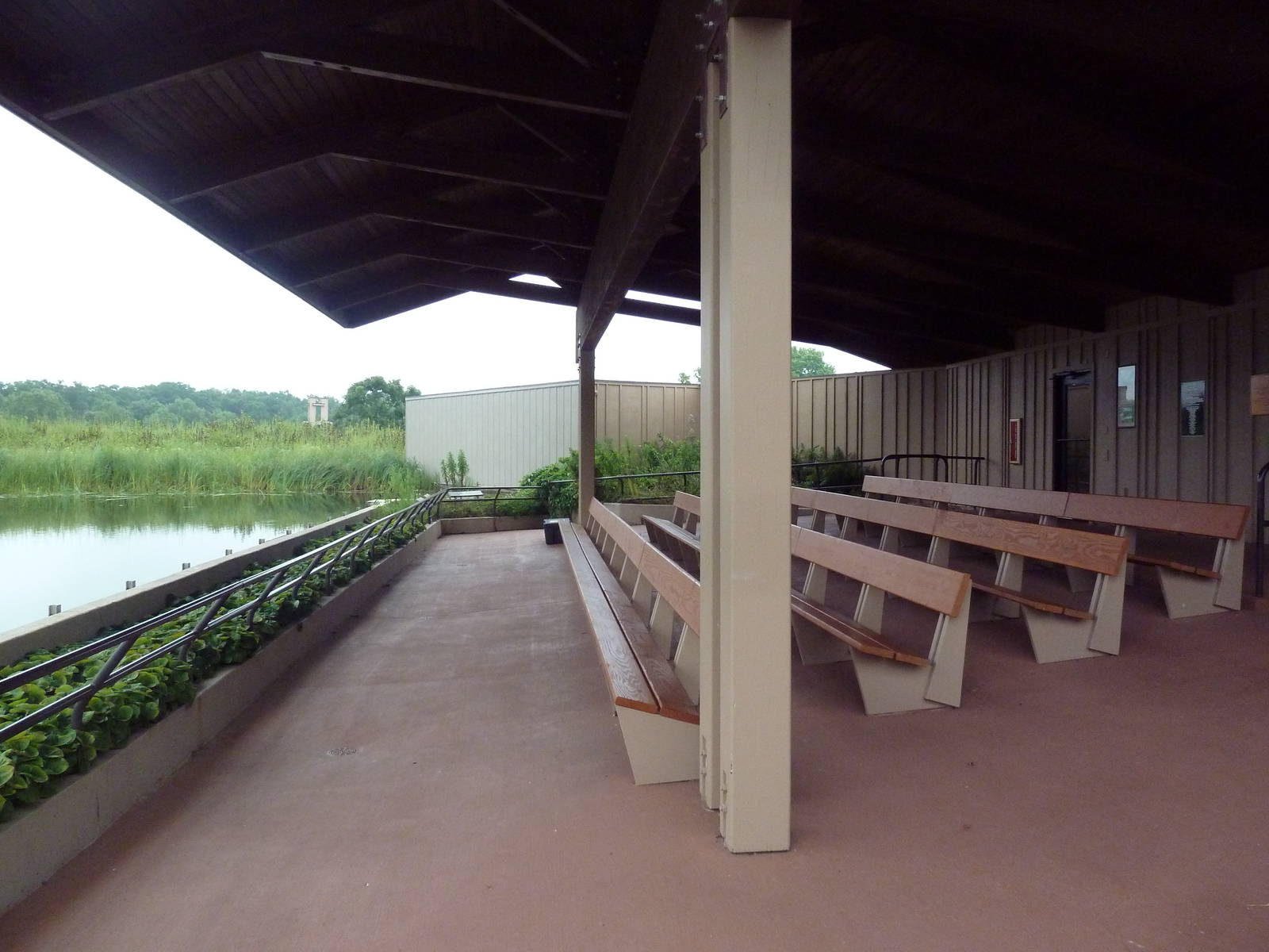 Whooping Crane Exhibit - Viewing Area