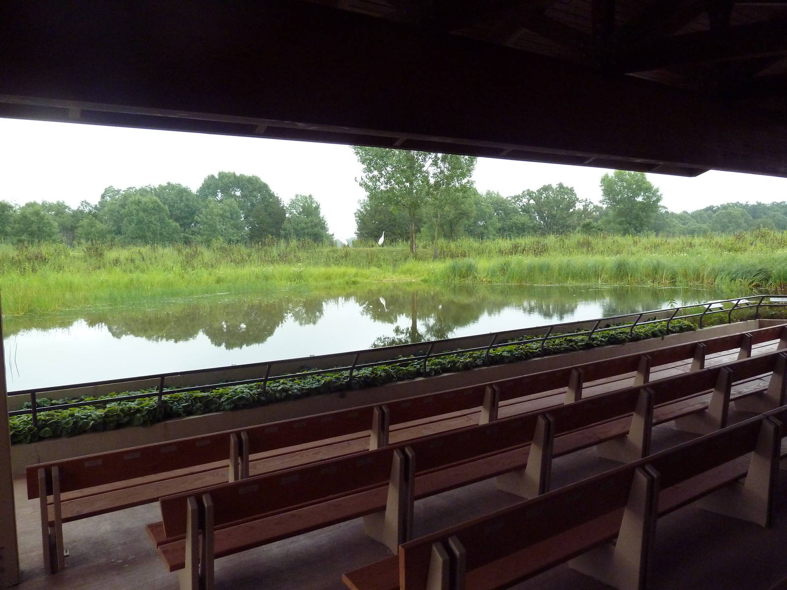 Whooping Crane Exhibit - Viewing Area