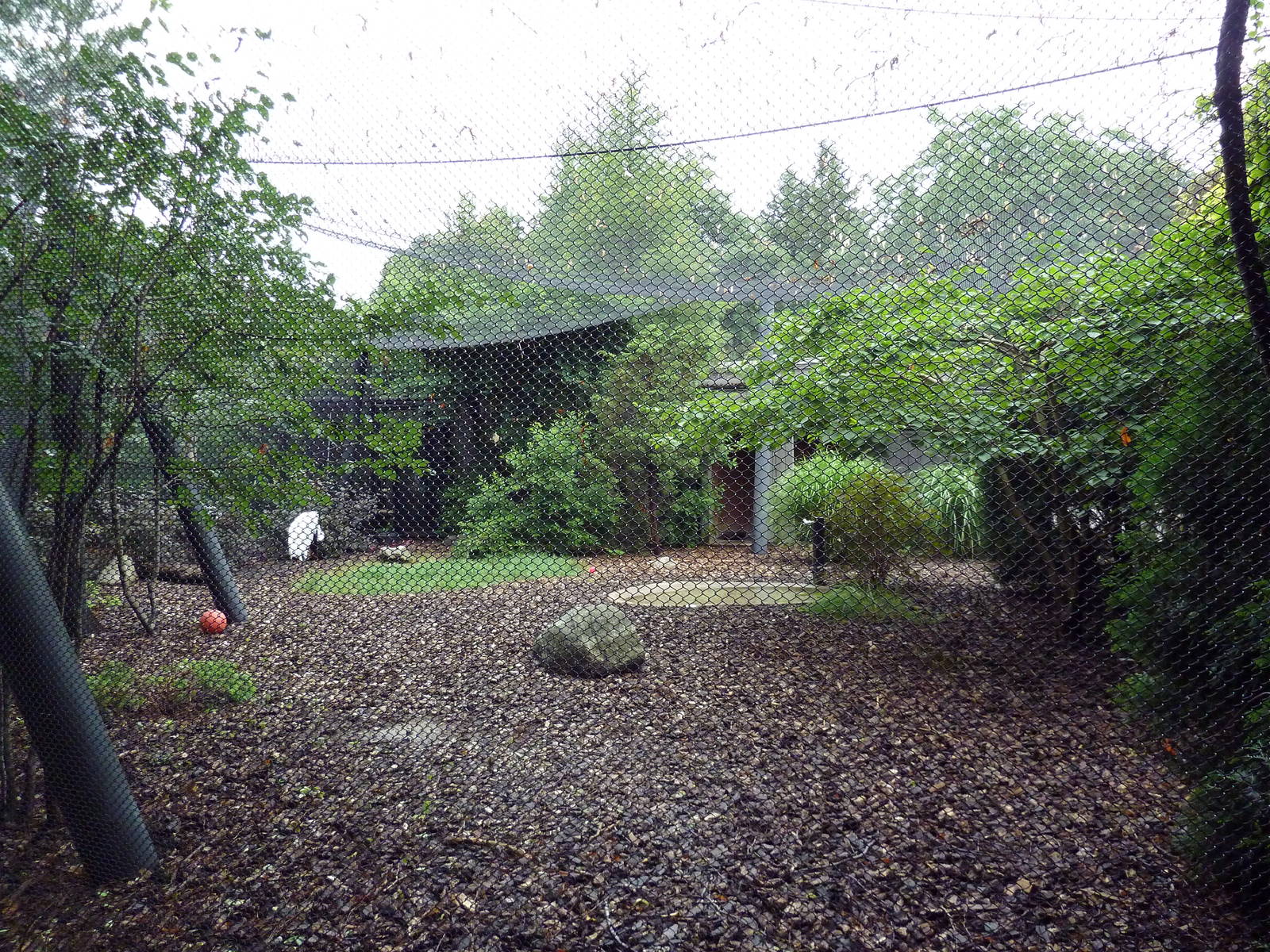 Whooping Crane Exhibit