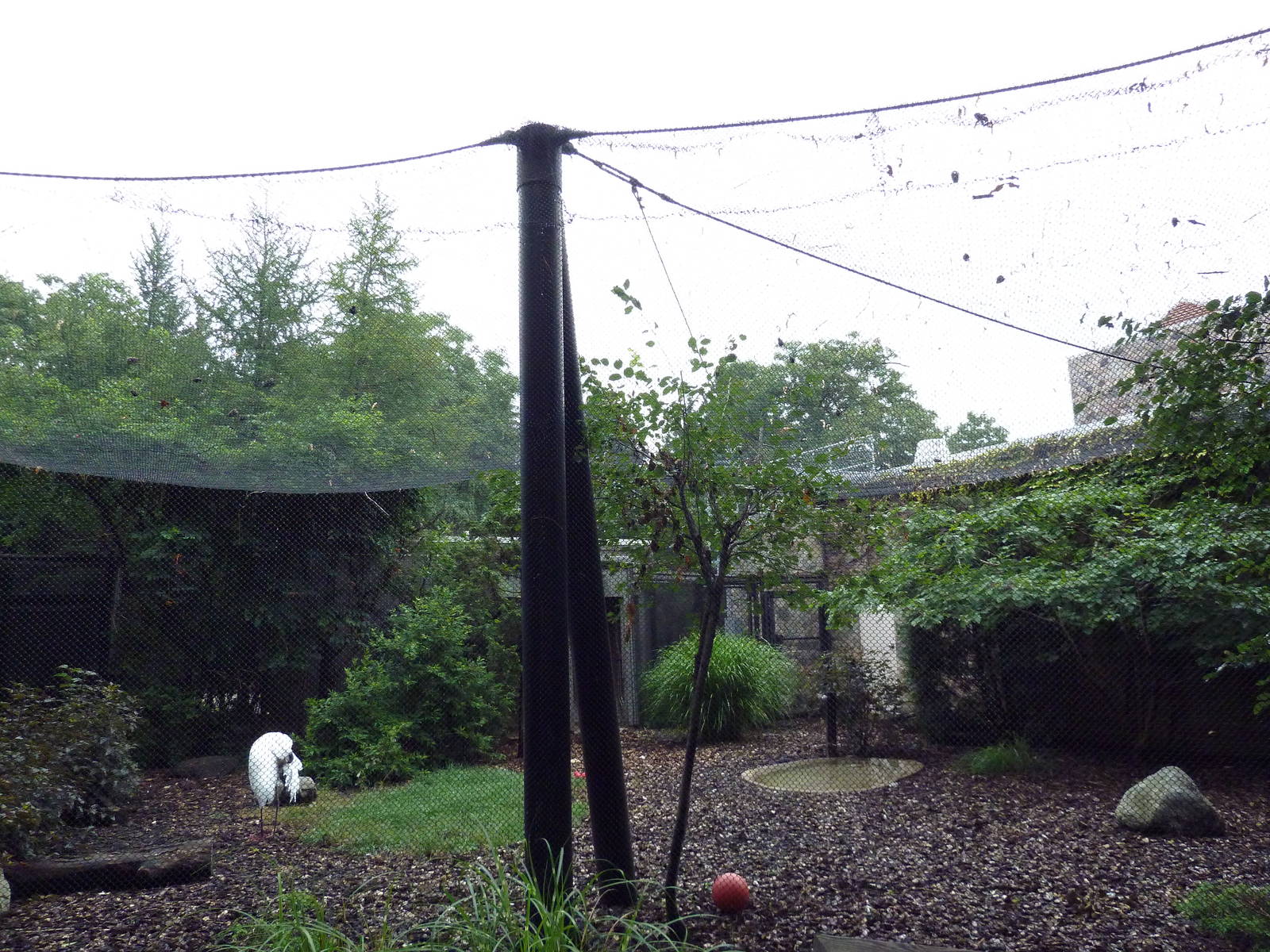 Whooping Crane Exhibit