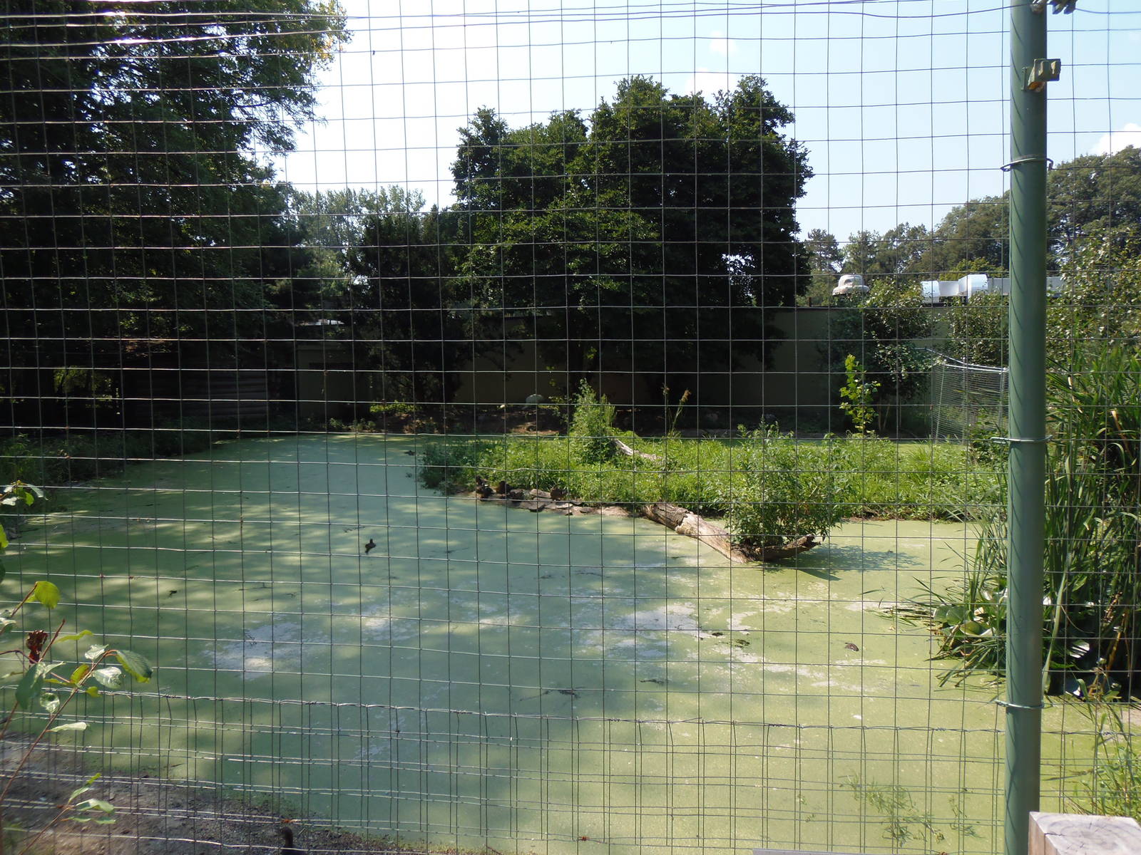 Whooping Crane Exhibit