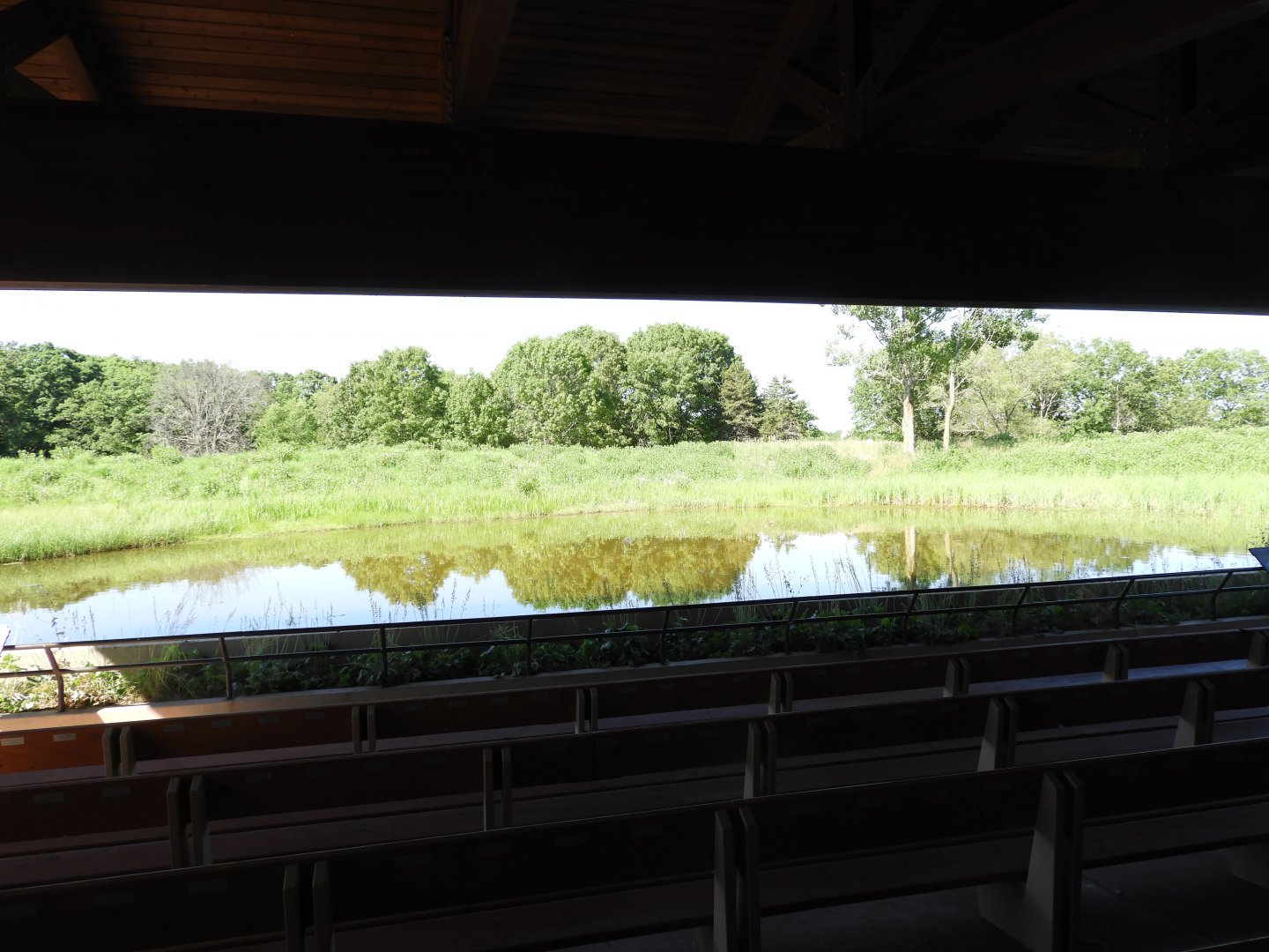 Whooping Crane exhibit