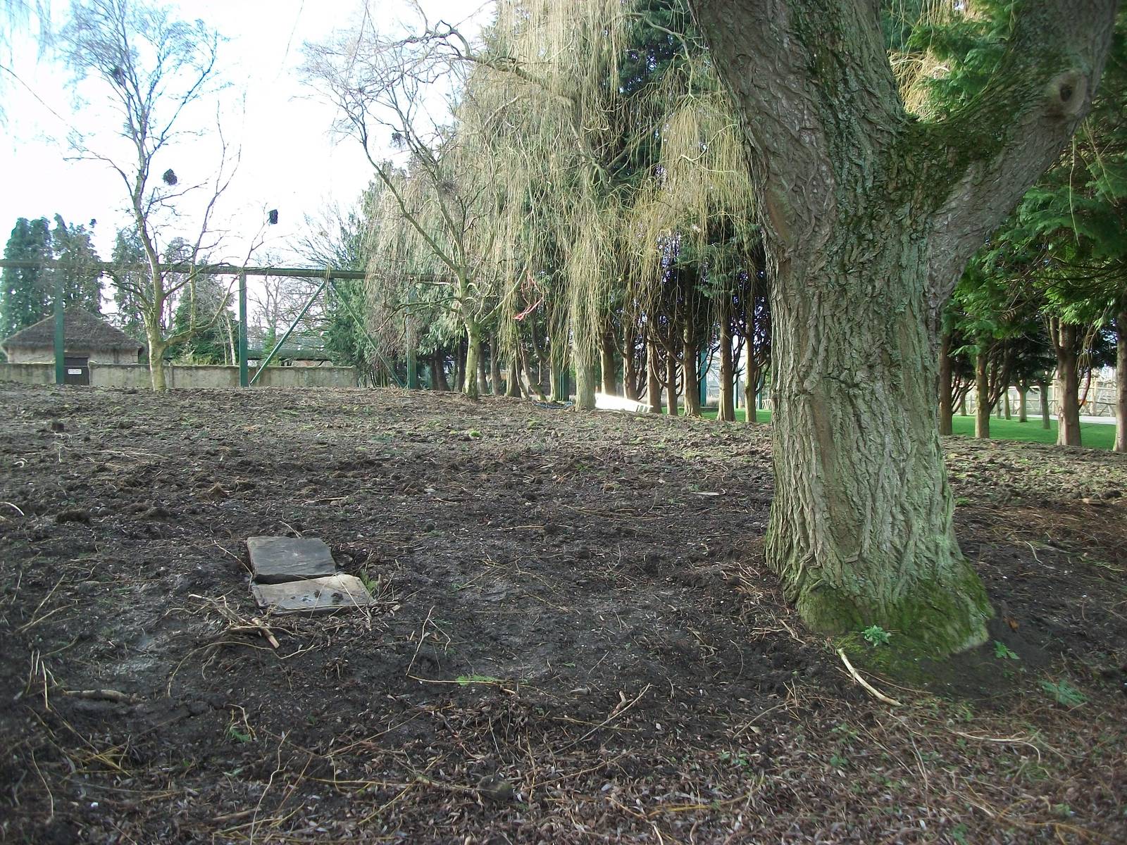Whoops missed this one of the former Pelican pool area, 21st February 2014
