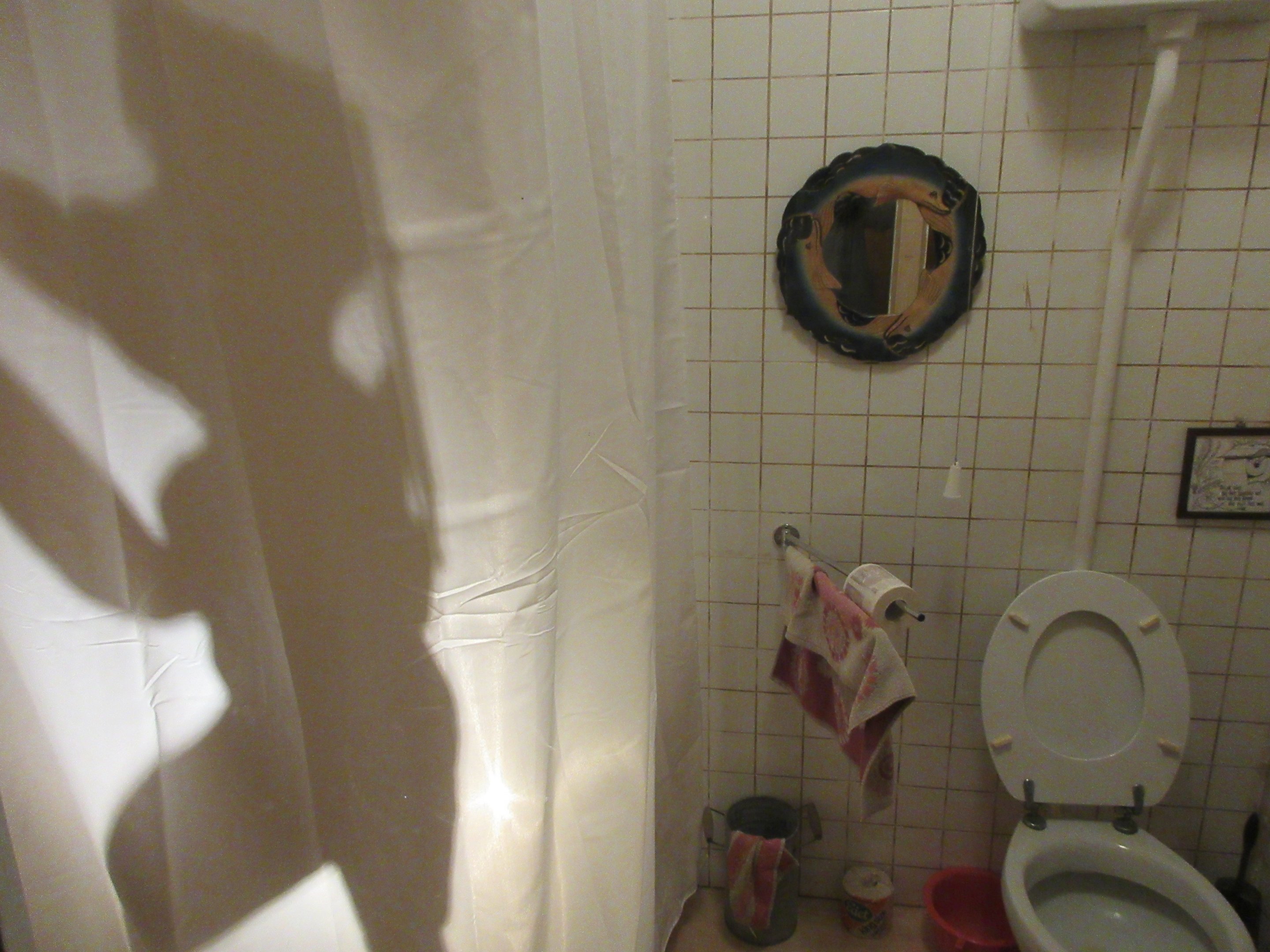 Who's in the shower? She moves!