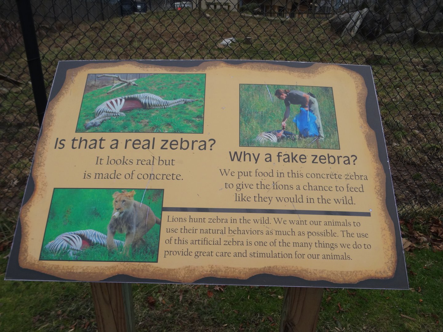 "Why a fake zebra?" Sign
