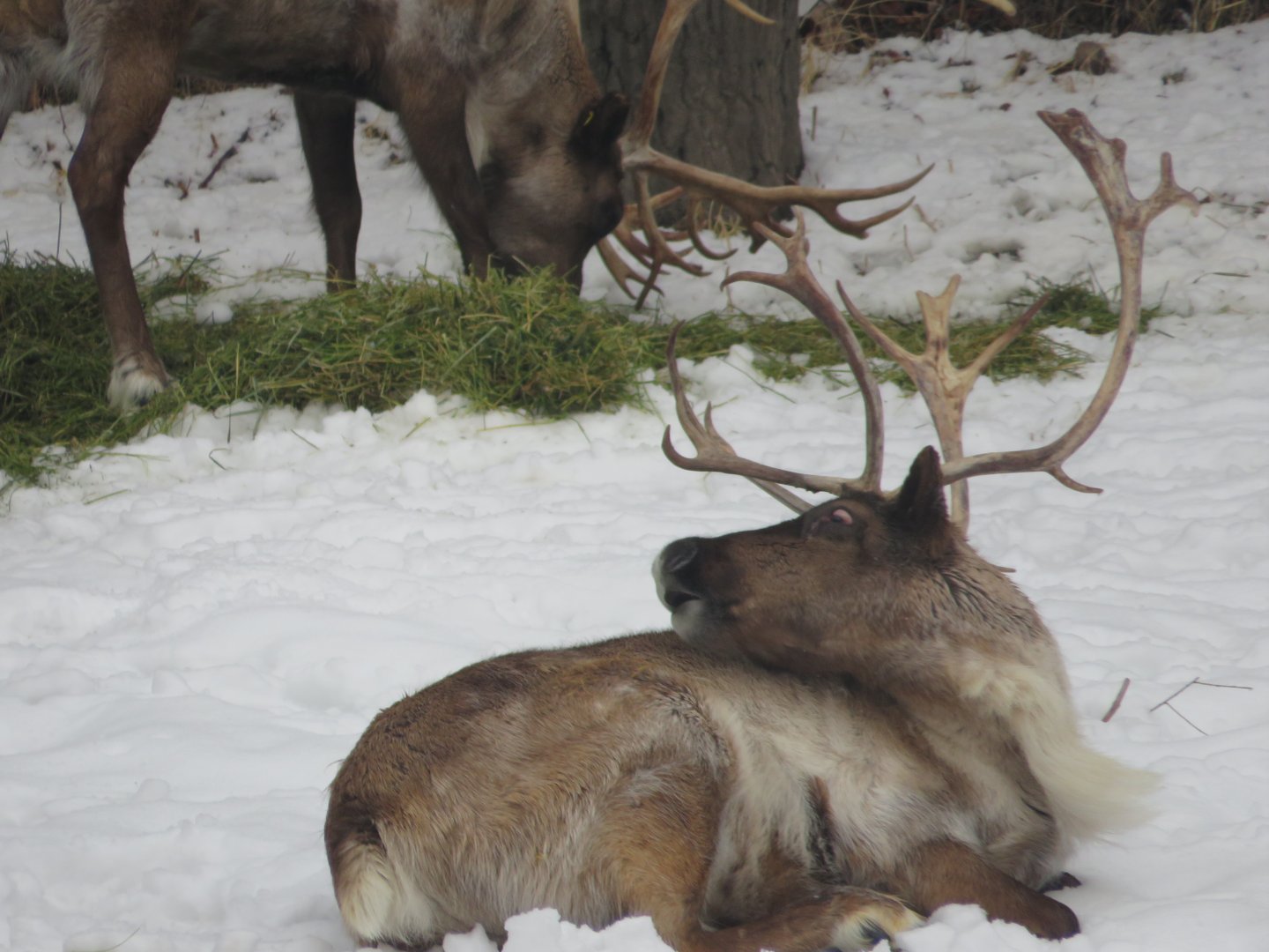 Why are you staring?