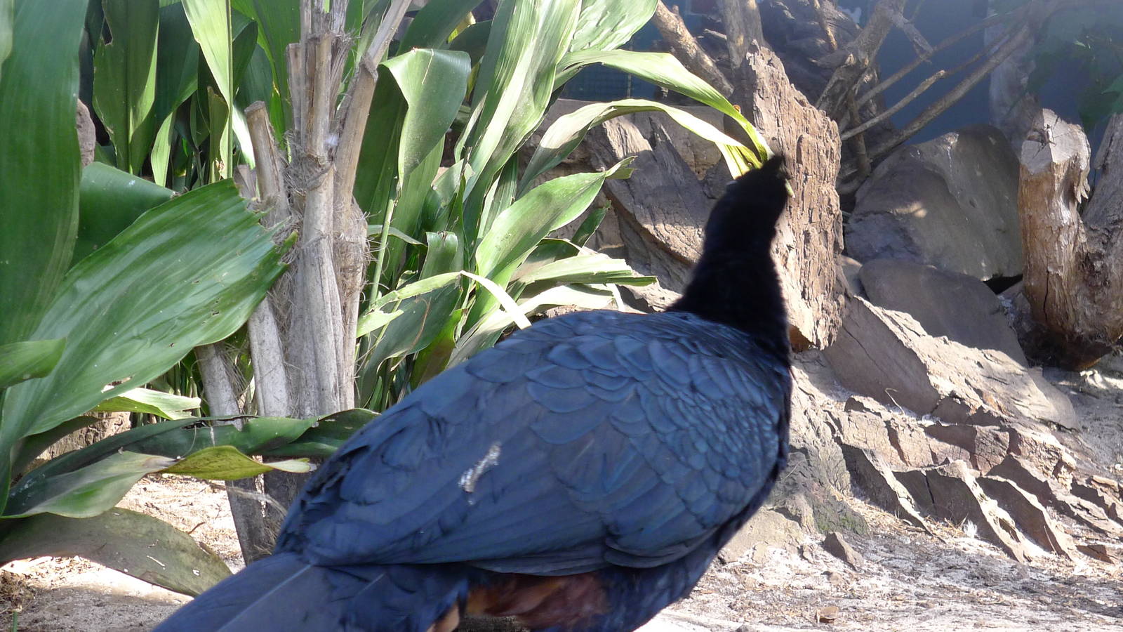 why did she have to look away!