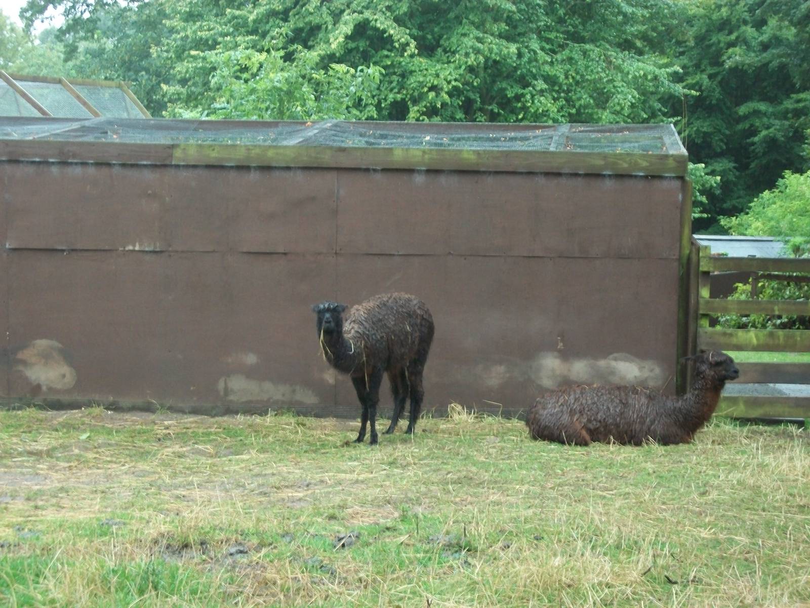Why not use the stall? 6.52 p.m., 10th August 2014