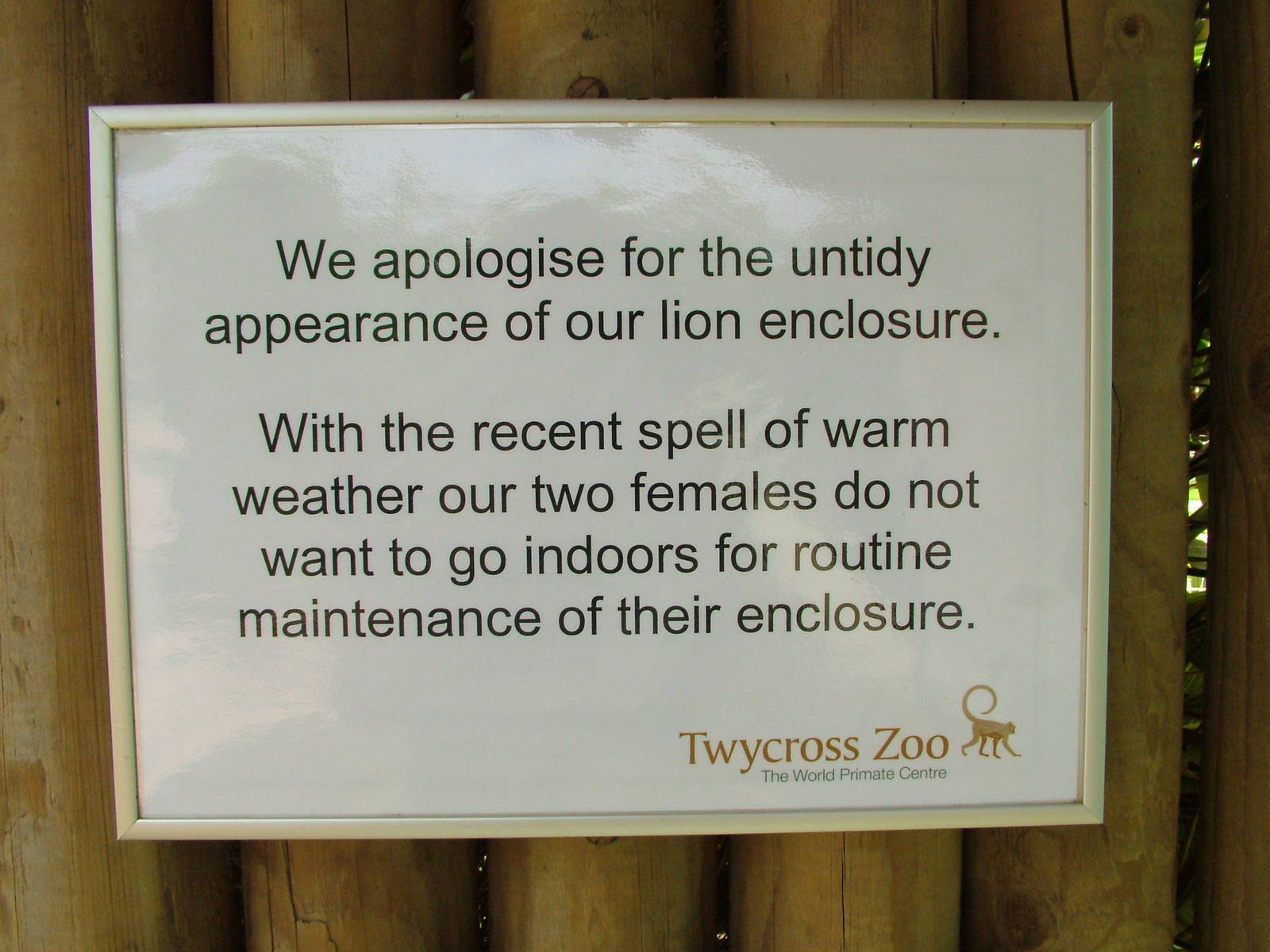 Why the Lions' window is muddy, Twycross 13/09/09